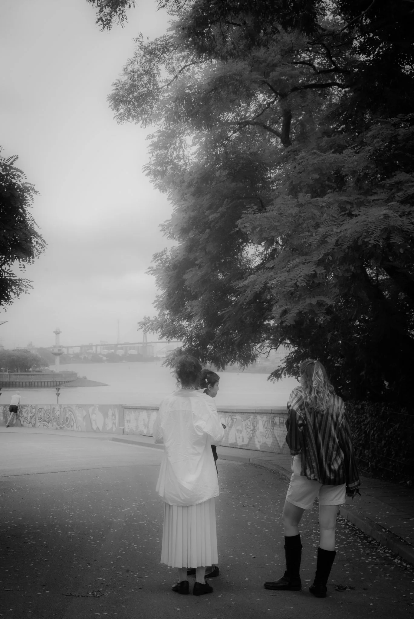 DSC00078-2.jpg