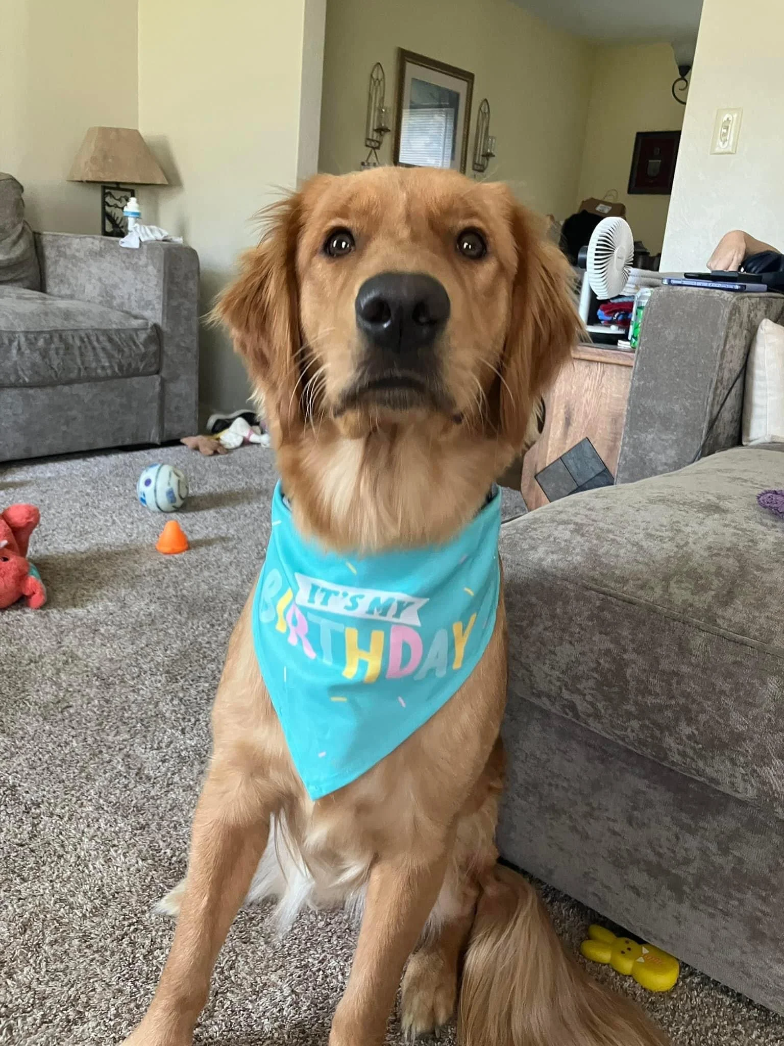 1st birthday!