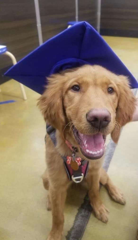 Lilo 5 mo.JPG