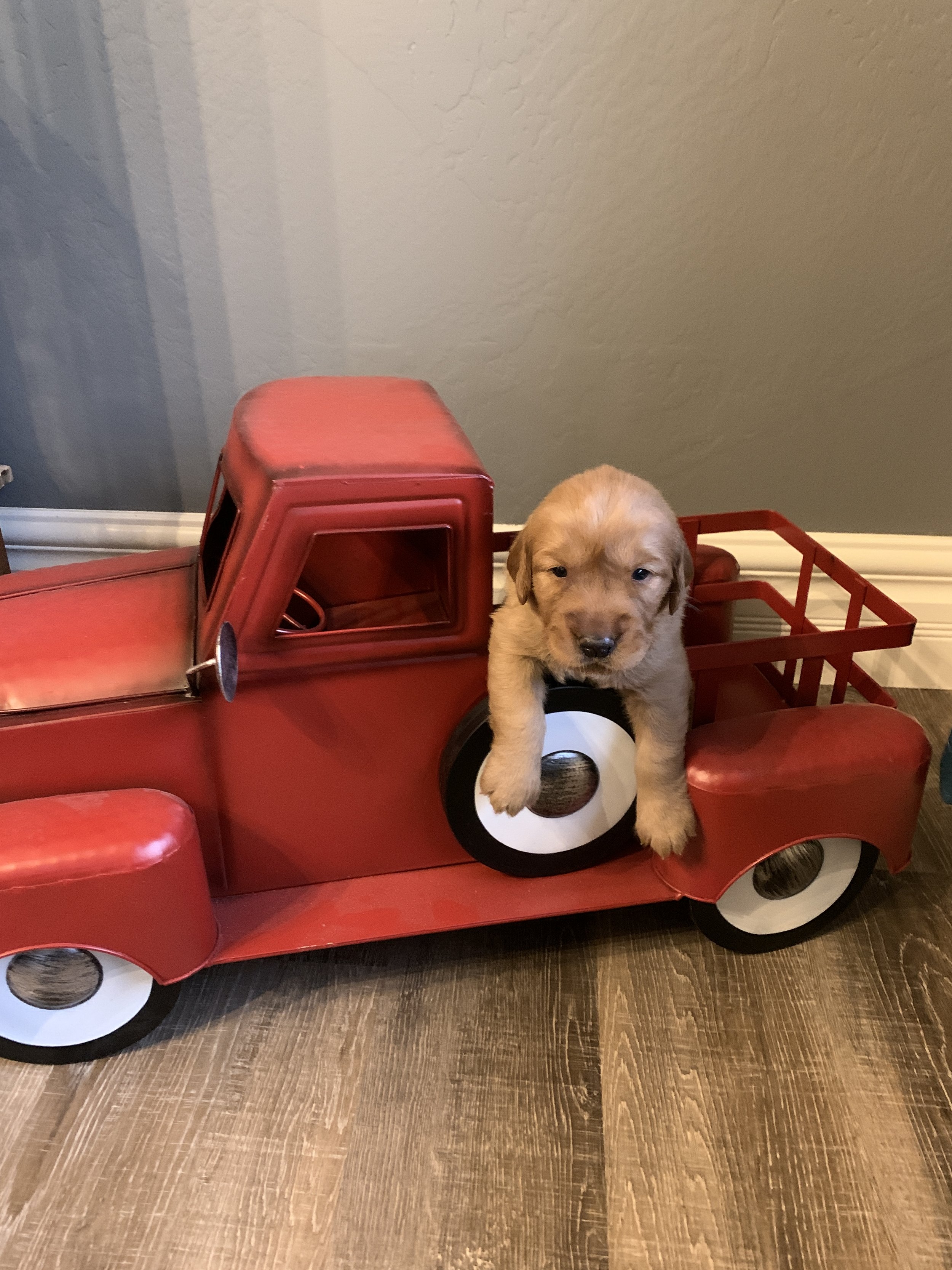 Teal Girl 3 weeks.JPG