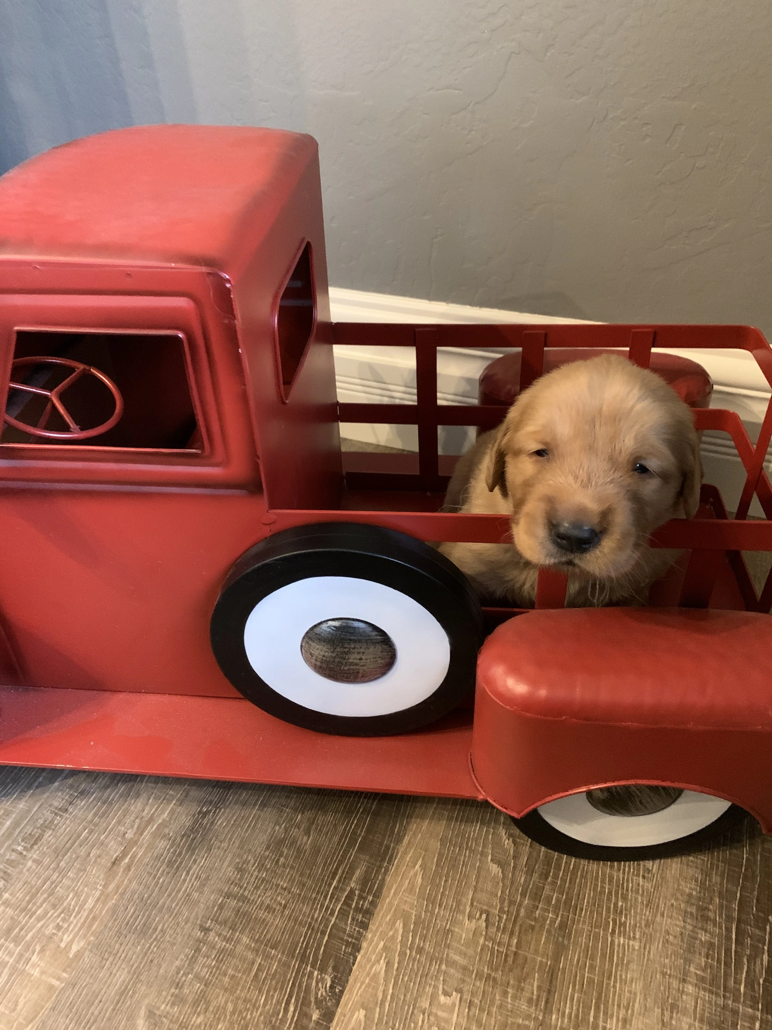 Blue Girl 3 weeks.JPG