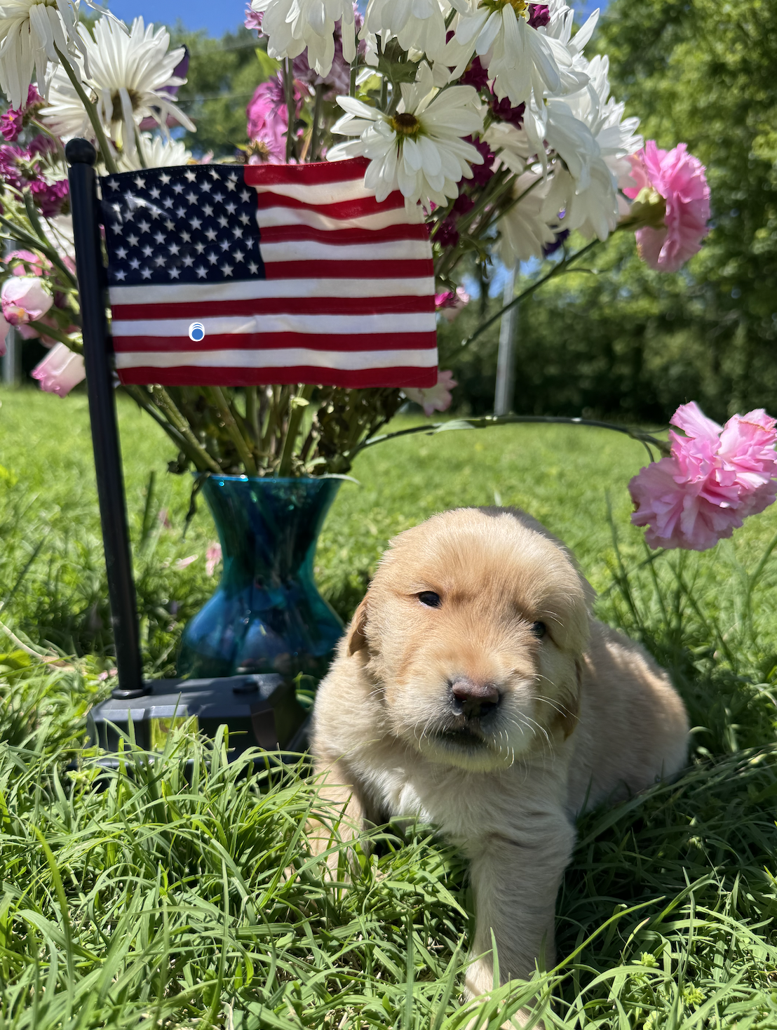 BlueBoy5 - 3 weeks.png