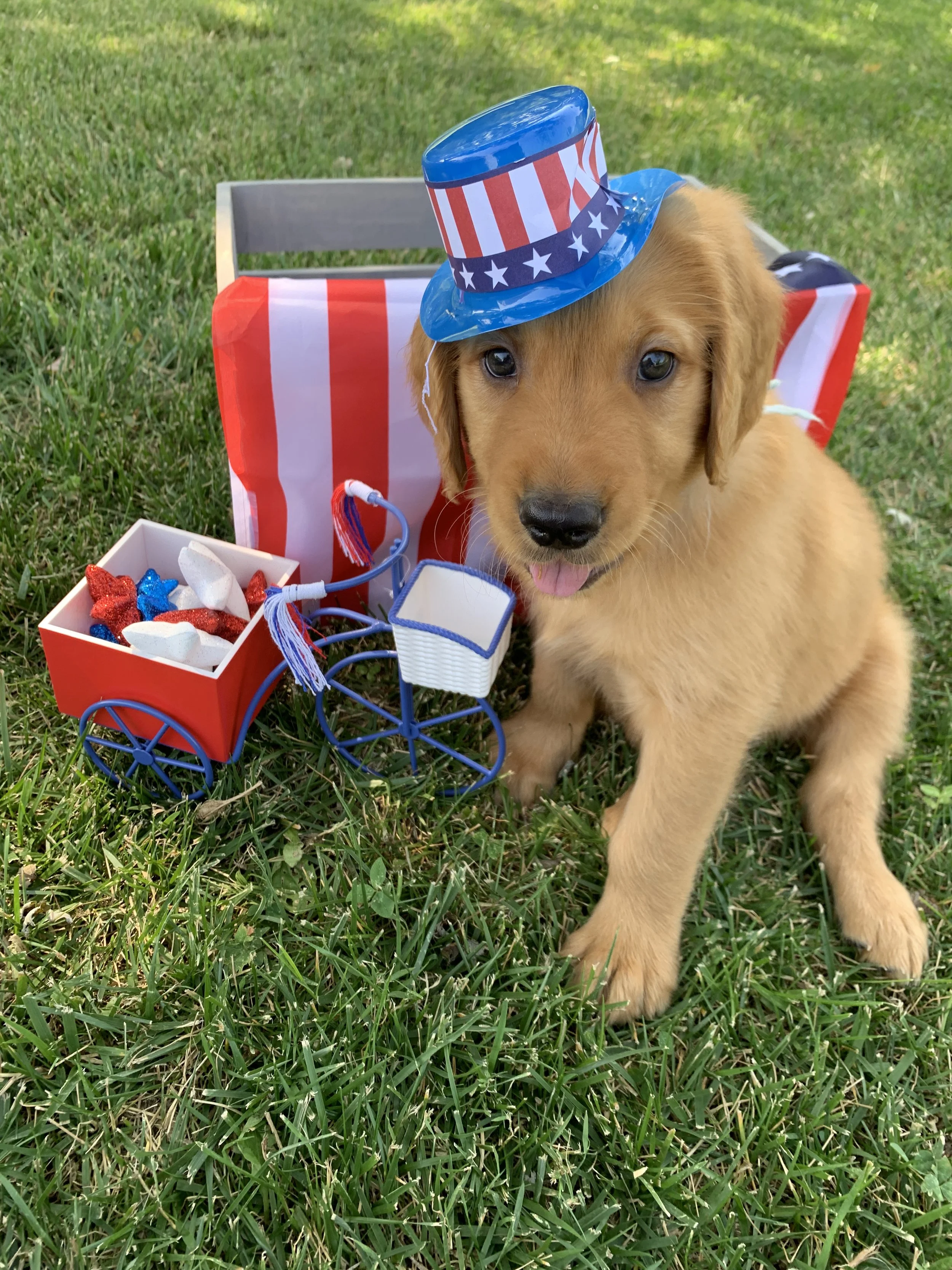 BabyBoy 7 Weeks Old.JPG