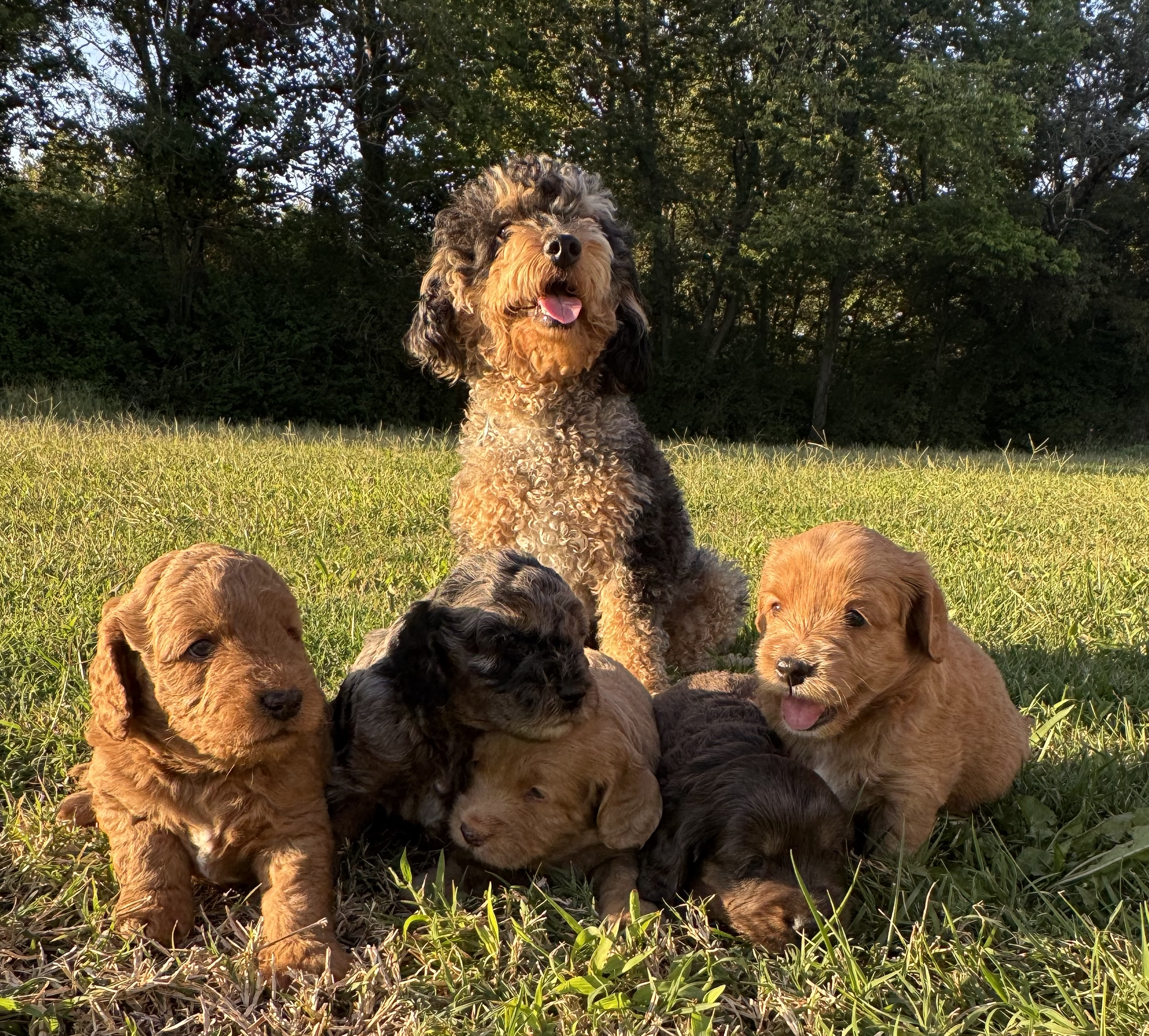 Picture with Dad! (4weeks)