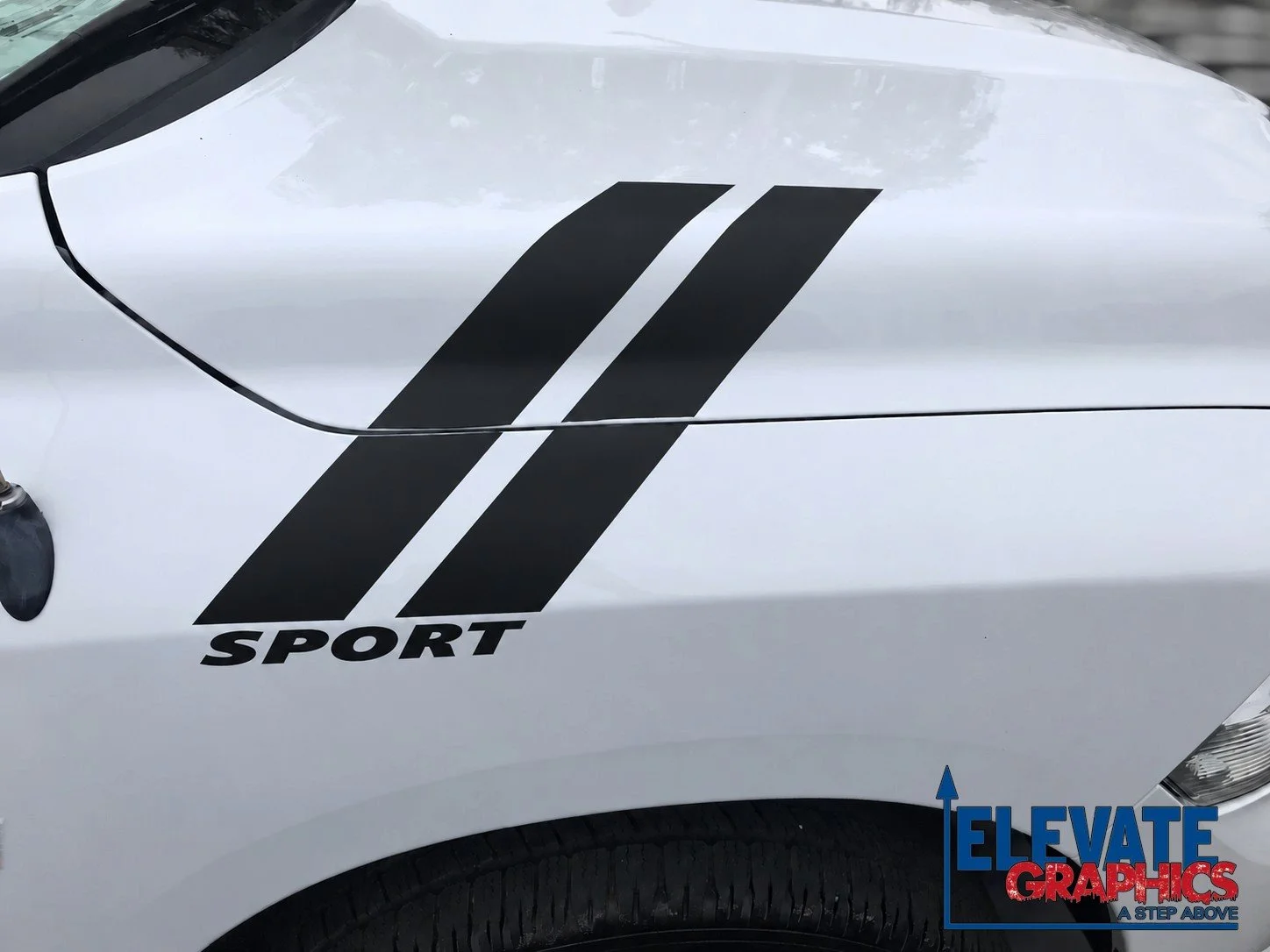 Sport Stripes on White Fender.jpg (Copy)