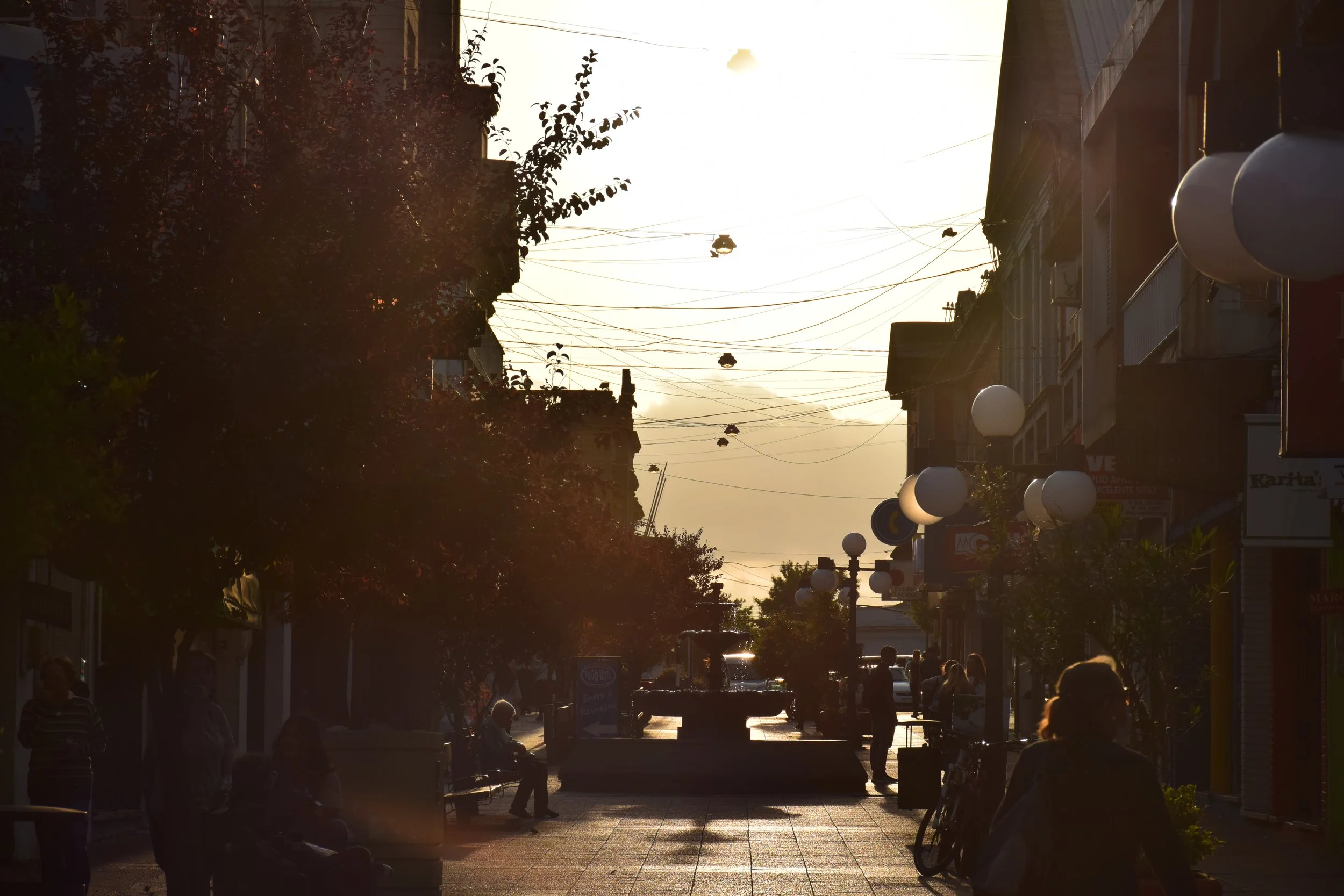 DSC_8981.JPG