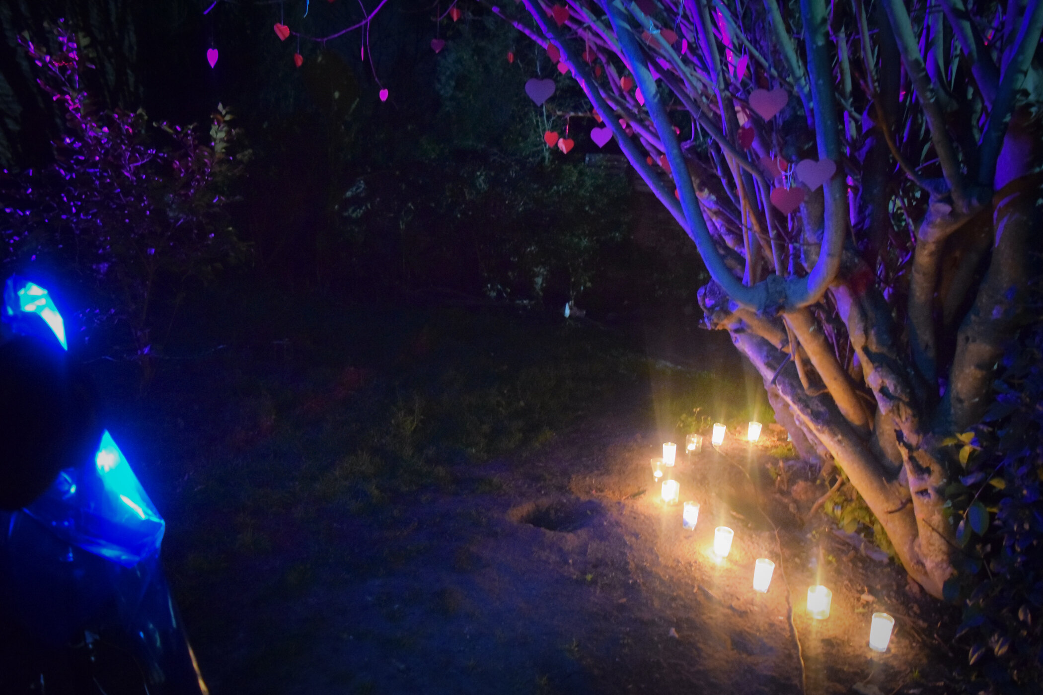 Camino iluminado con velas y decoraciones de corazones colgantes, en un entorno oscuro con árboles y luces moradas.