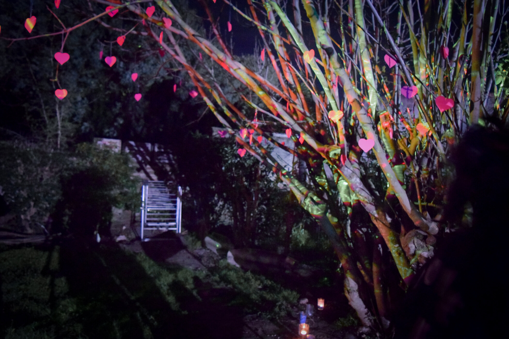 Árbol iluminado con decoraciones de corazones de colores en una noche oscura, con escaleras y velas en el suelo.