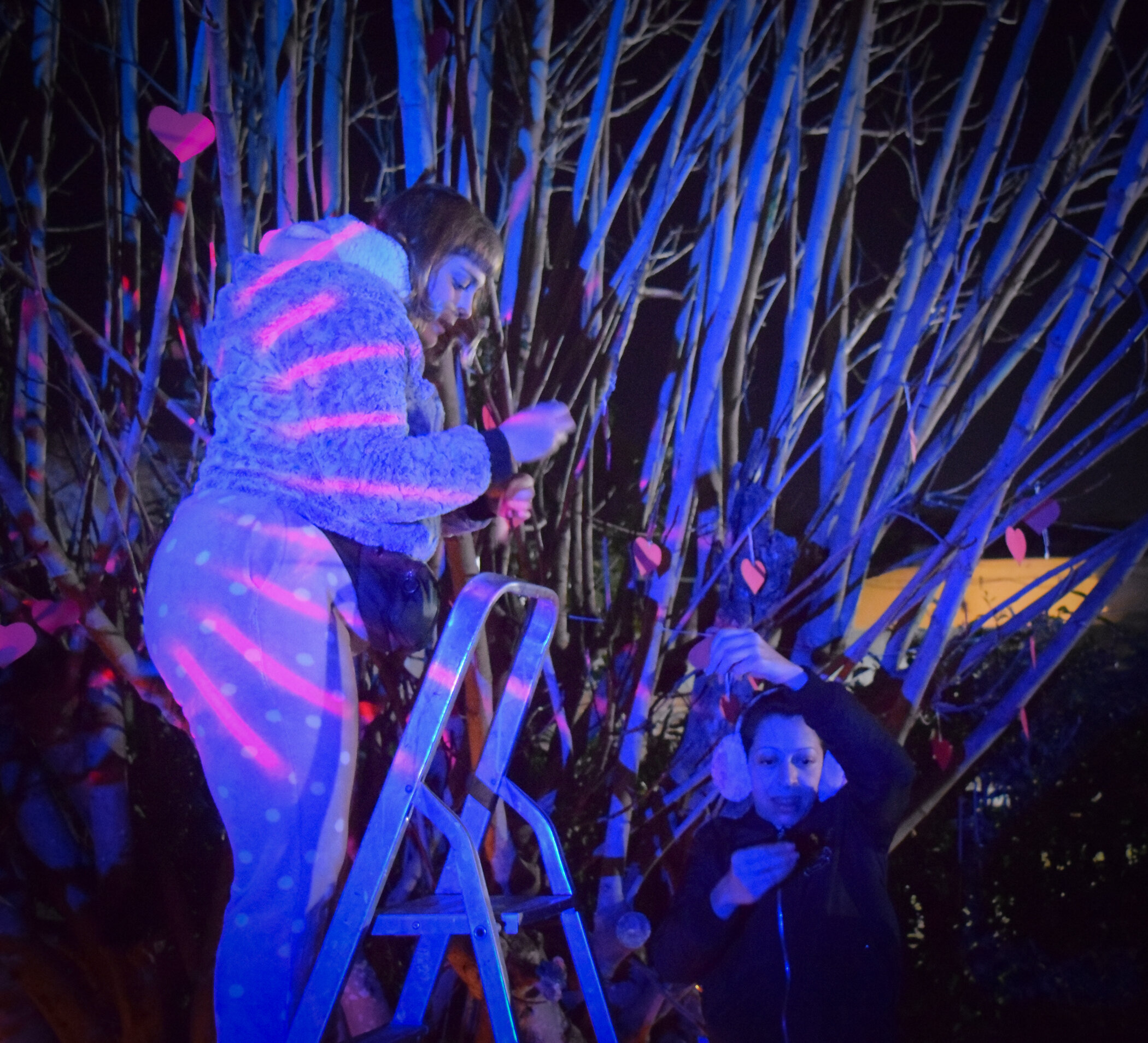 Dos personas entre arbustos en la noche, una usando una escalera y ambas viendo sus teléfonos, con iluminación azul y rosa.
