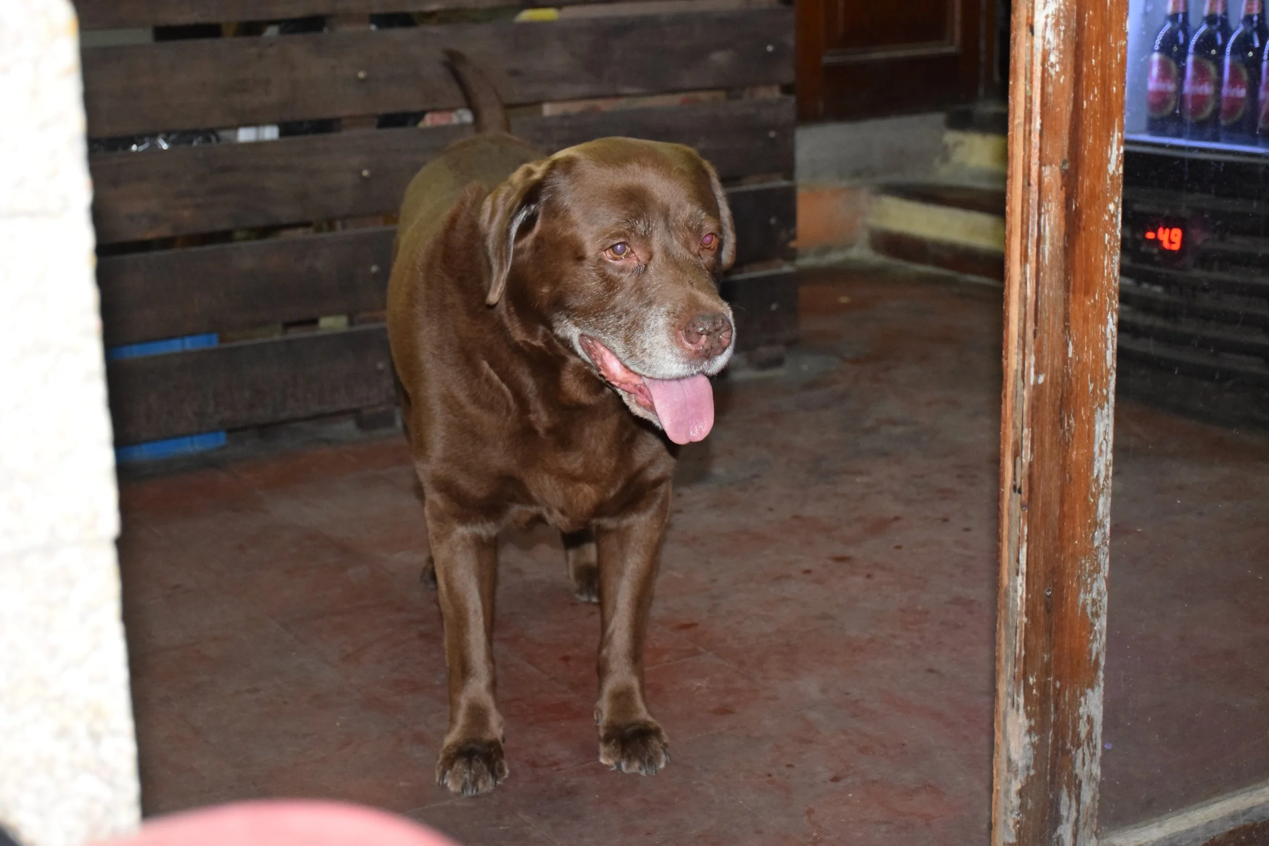 DSC_8049.JPG