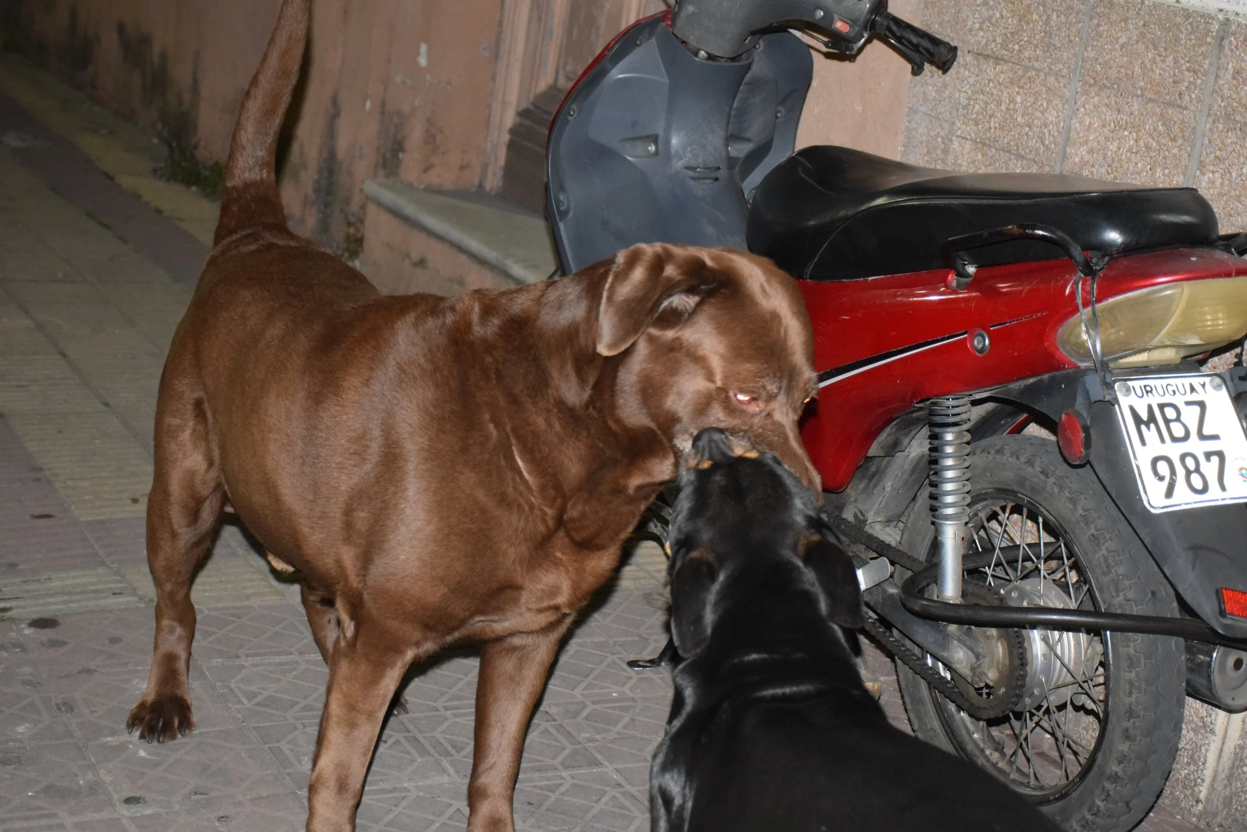 DSC_8043.JPG