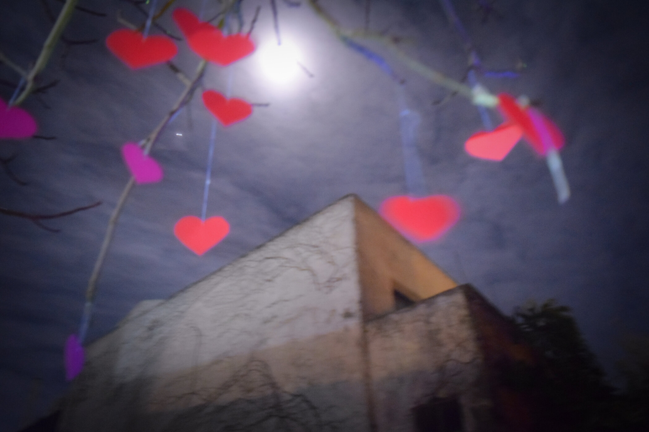 Corazones color rojo y rosa colgados en ramas de árbol en la noche, con una luna brillante en el cielo y un edificio al fondo.