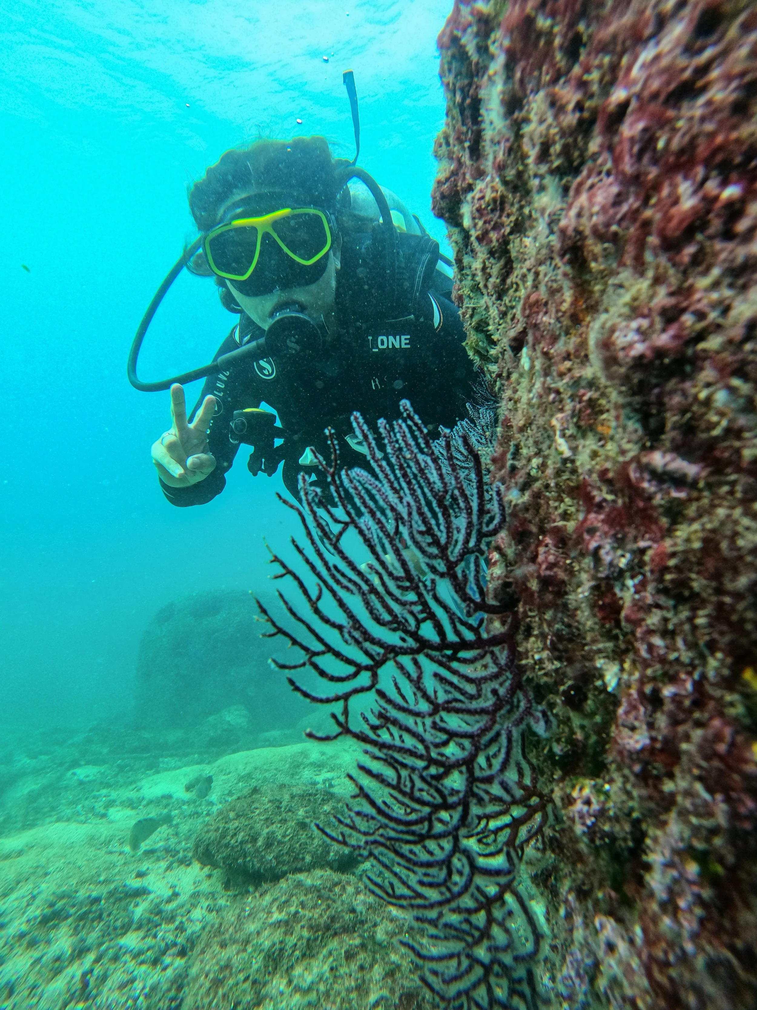 GPTempDownload 3.JPG