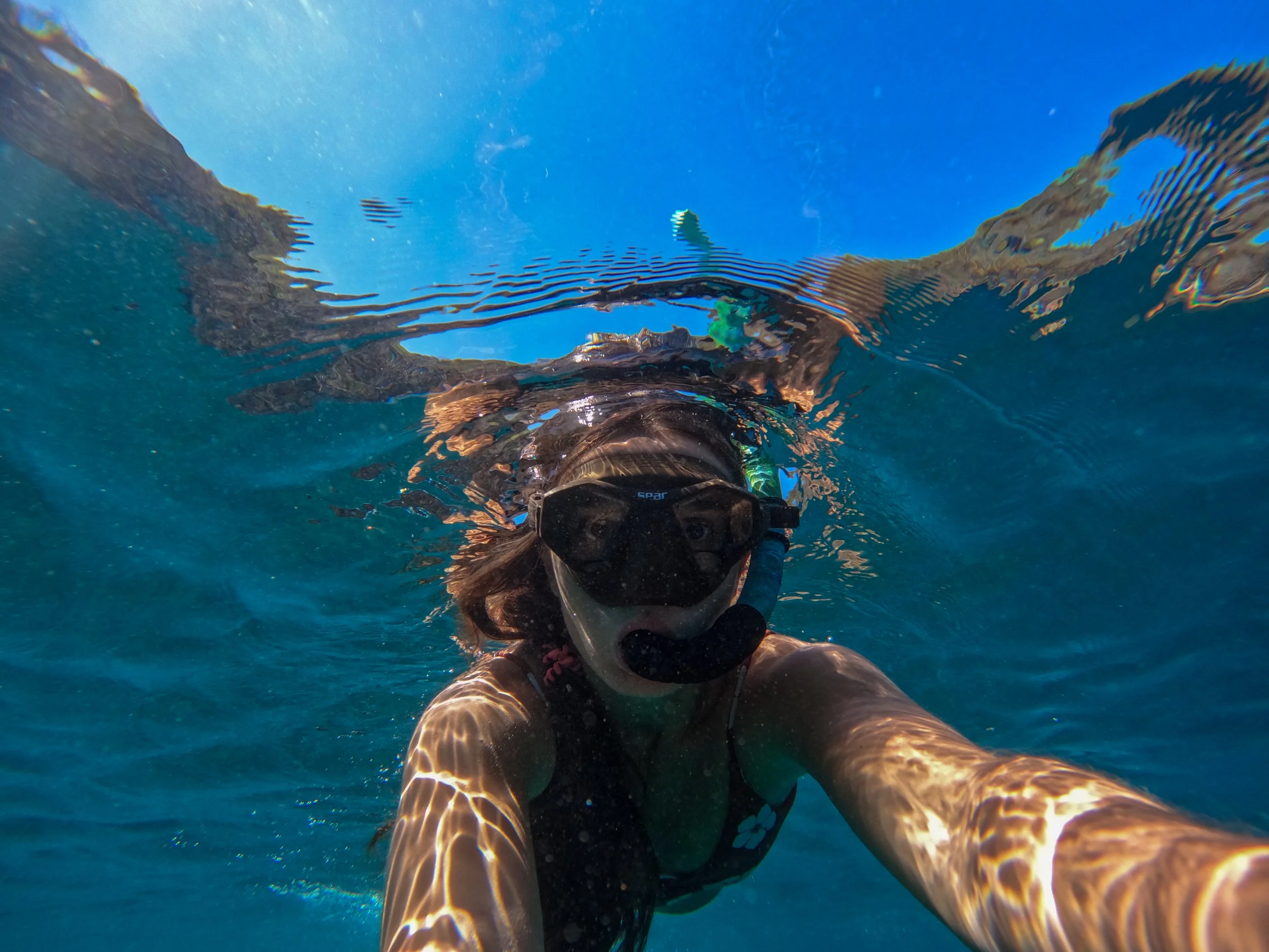 GPTempDownload 12.JPG