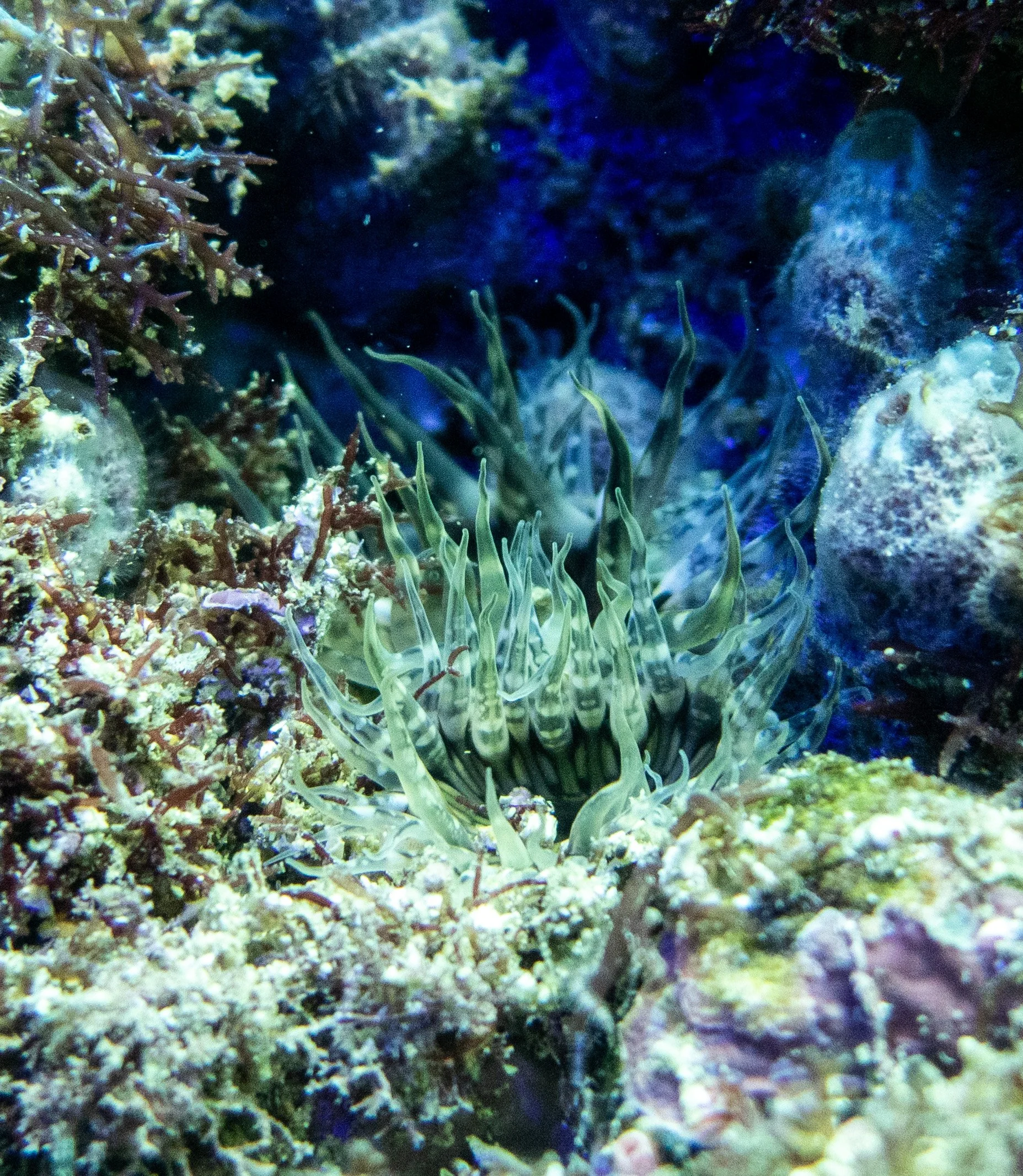 IMG_7738.jpeg