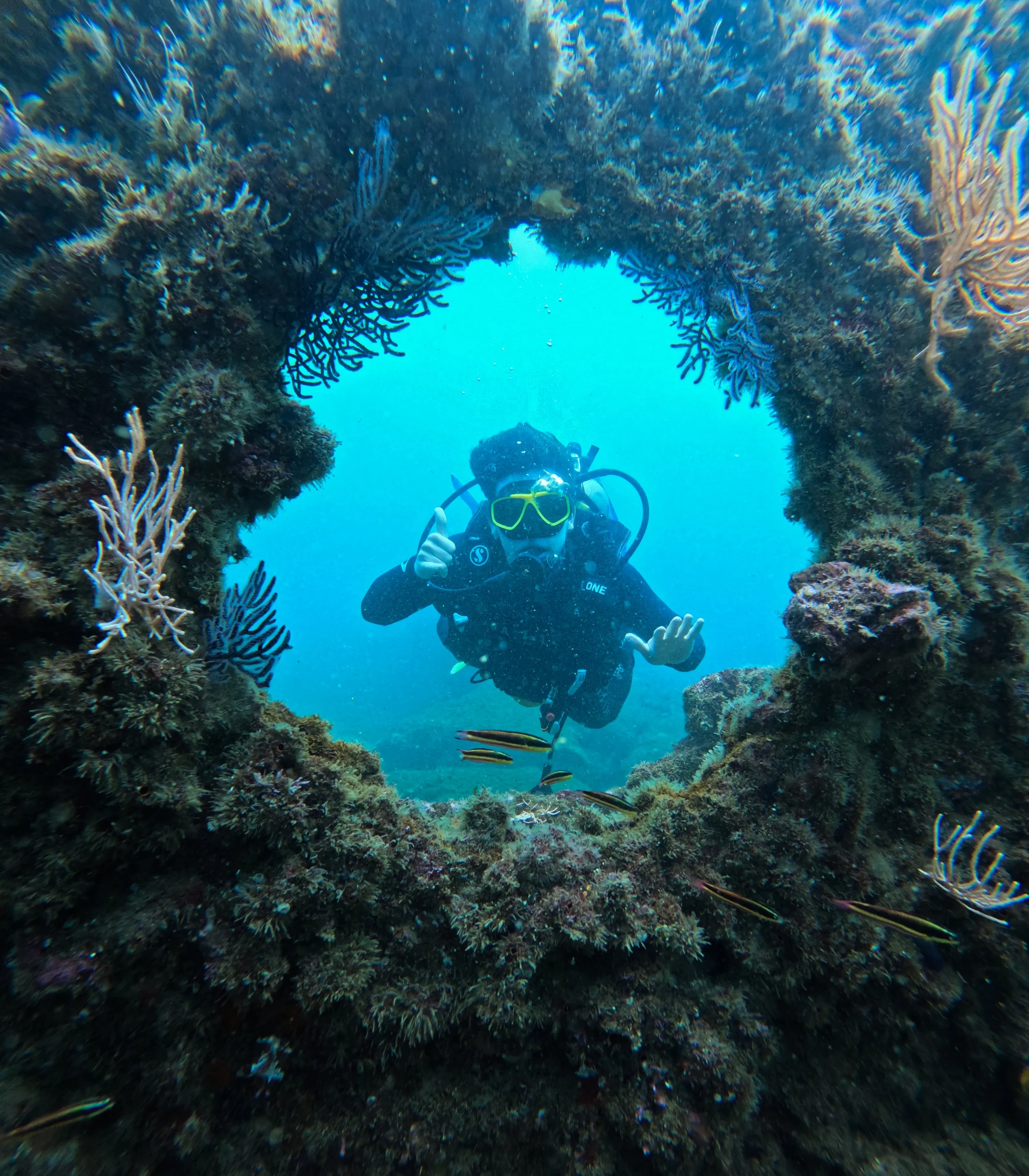 GPTempDownload 7.JPG