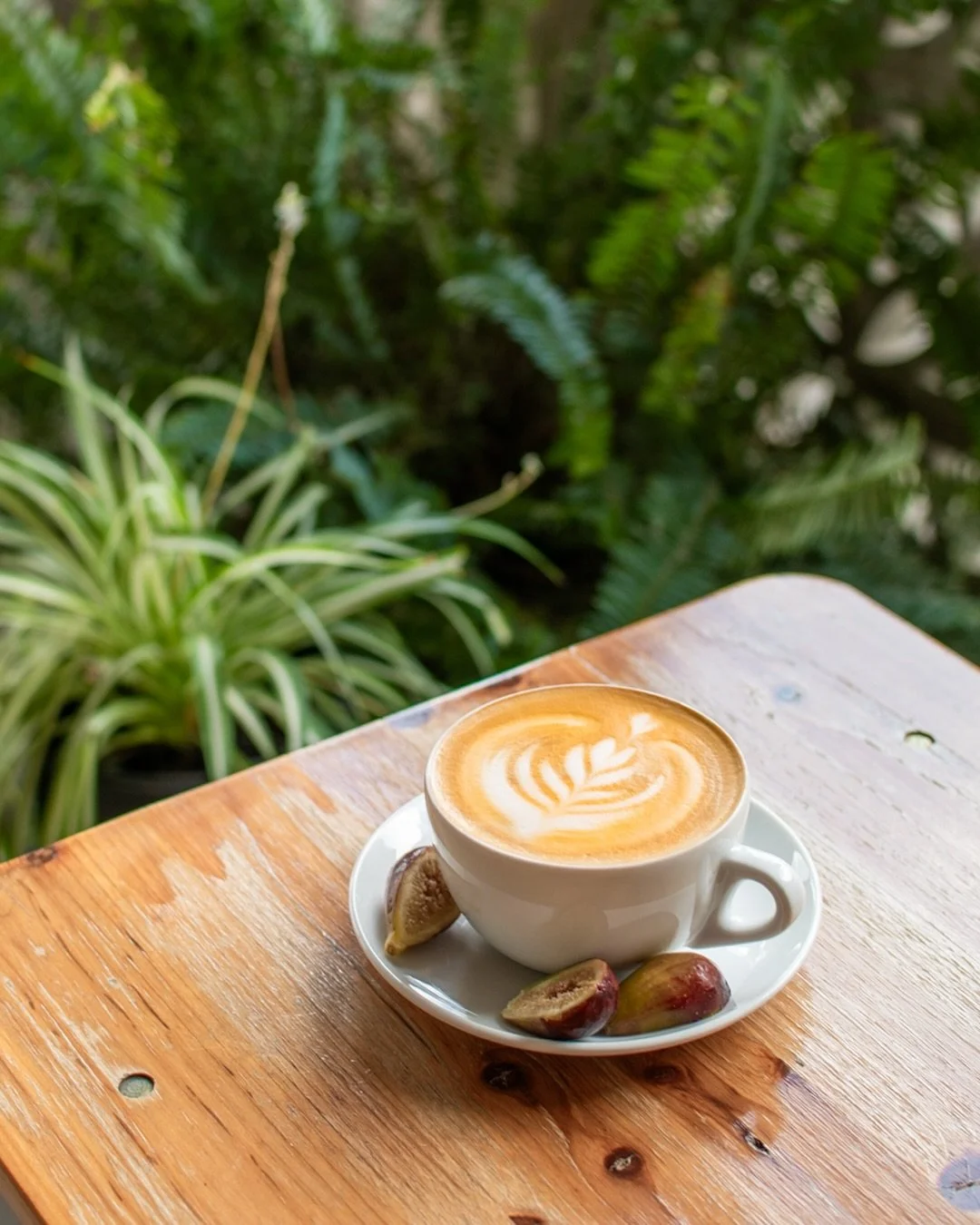 What do you do when @projecthostgvl gifts you fresh figs from their garden? Turn it into a latte of course!

Come try our super limited Fig Latte this weekend! Available hot or iced, but when it&rsquo;s gone, it&rsquo;s gone. 💁&zwj;♀️