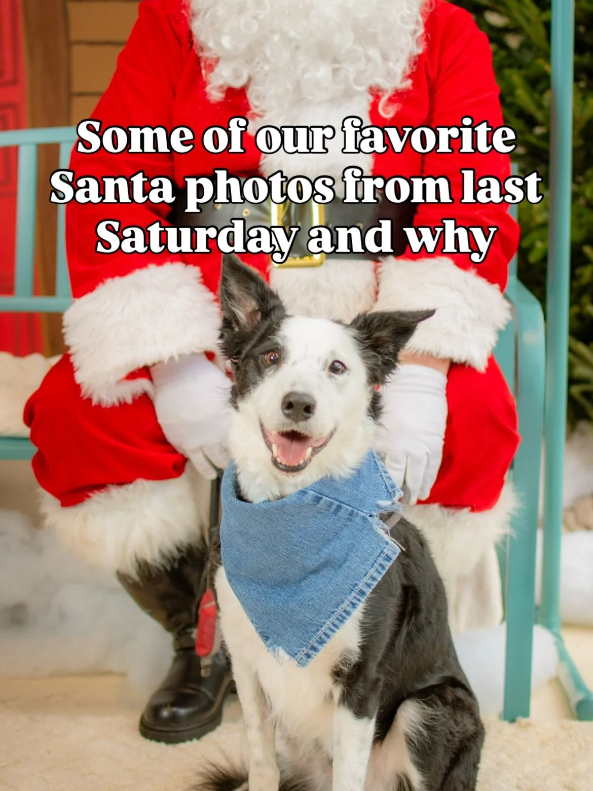 Santa helped us raise $4374.55 for @youthbase last Saturday! Here are some (not all!) of our fave pics from the event. 🎅 

A huge thank you to all who attended and donated!! Raffle basket tickets are still for sale until 12/15, so there&rsquo;s stil