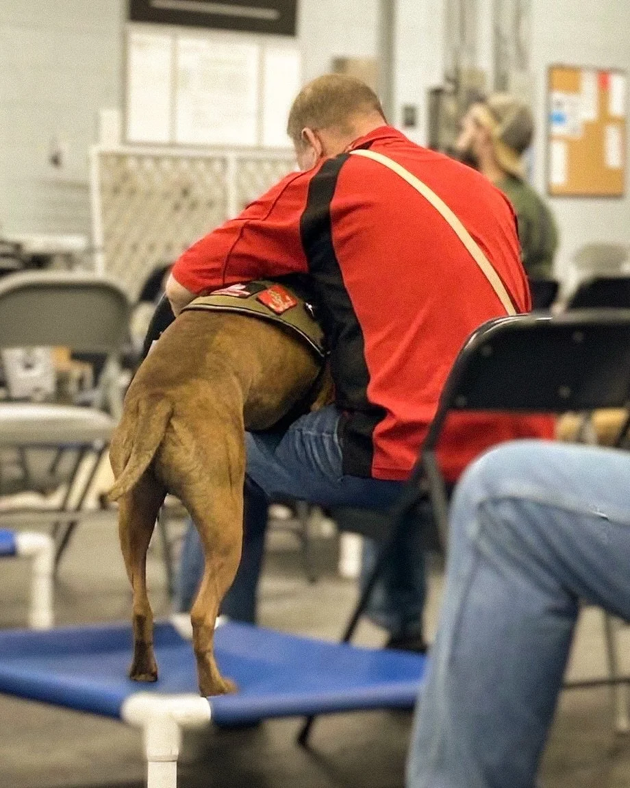 New year, new nonprofit partner! 🐕&zwj;🦺

We&rsquo;re so excited for our next trivia night one week away! Get your trivia group together and join us for Brews Clues on Wednesday 1/14 at 7pm benefiting @sd4vets. One round of trivia will be focused o