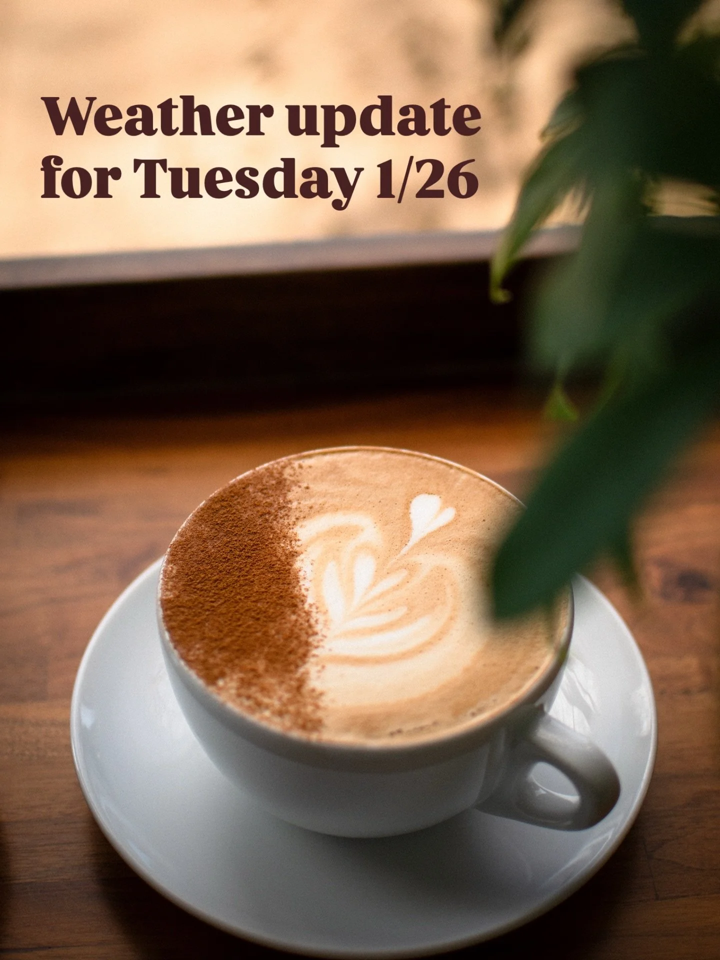 We are opening tomorrow (Tuesday) at 10am! The parking lot is cleared and our commute is safe, so we hope to see some of your lovely faces!

We plan to close early at 6pm tomorrow because of the extreme temps, but all updates will be shared here.