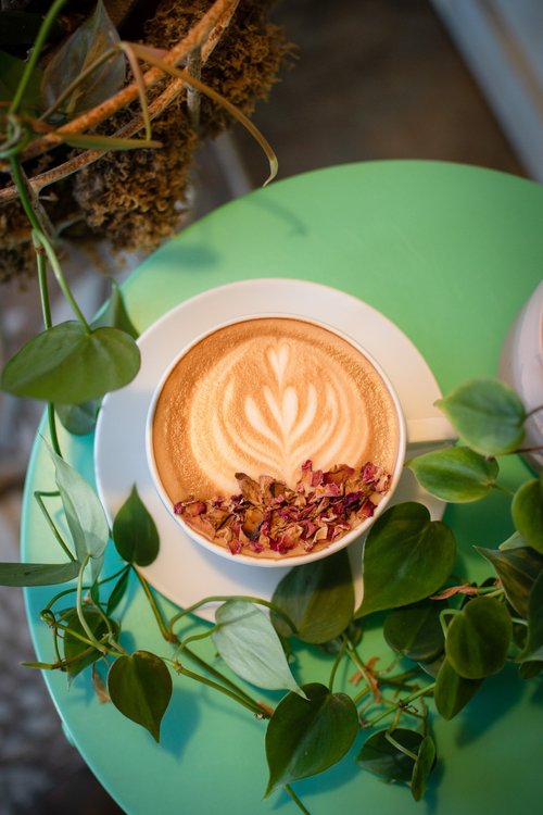 Grateful Brew, coffee shop in Greenville, photo 2 of 6