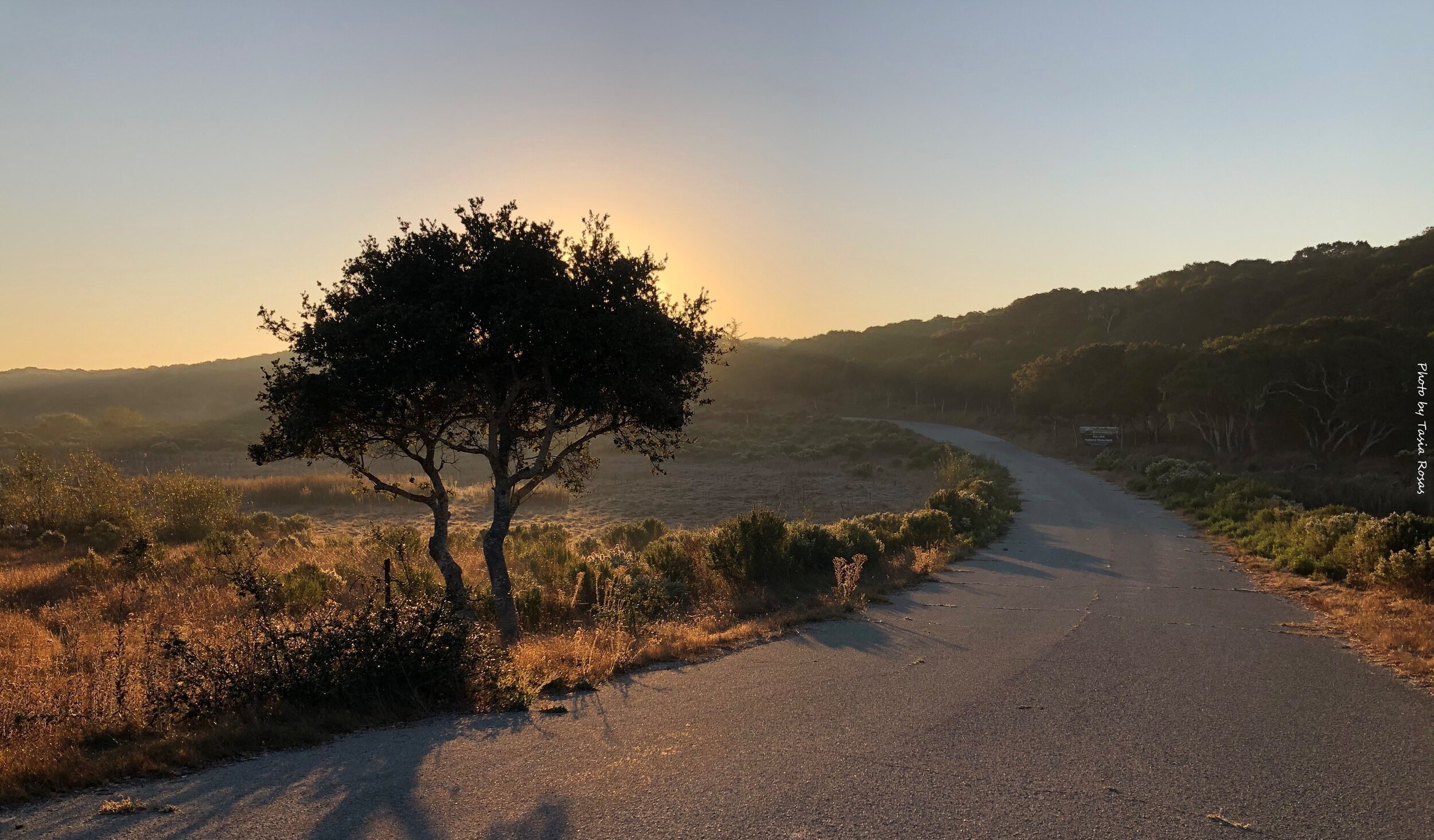 Fort Ord National Monument - by Tasia Rosas