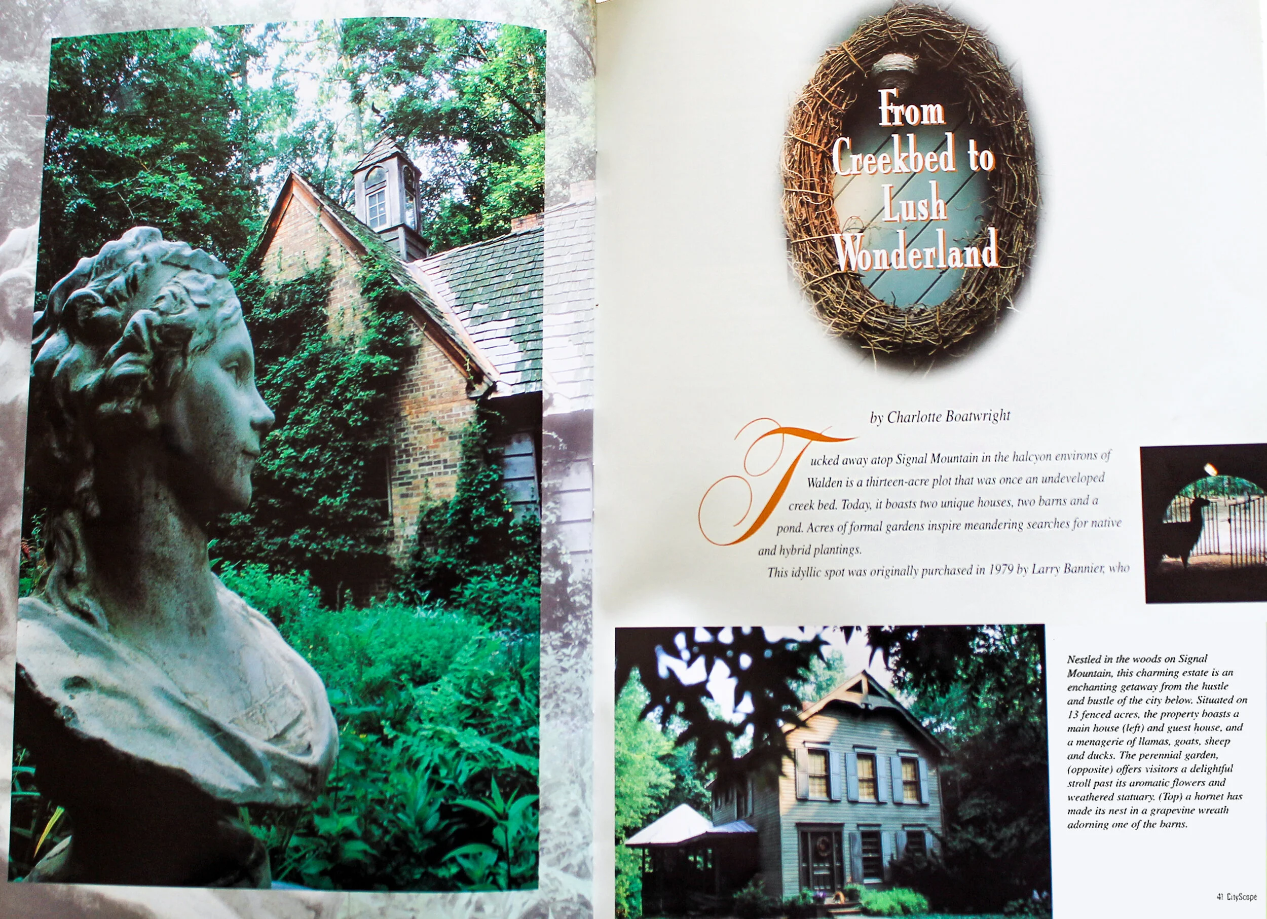 City Scope Larry 1.jpg