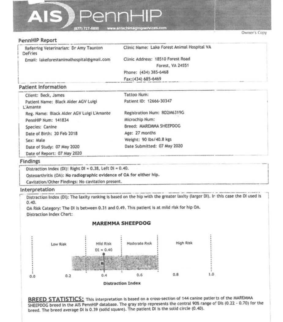 Screen Shot 2021-10-04 at 2.34.48 PM copy.jpg