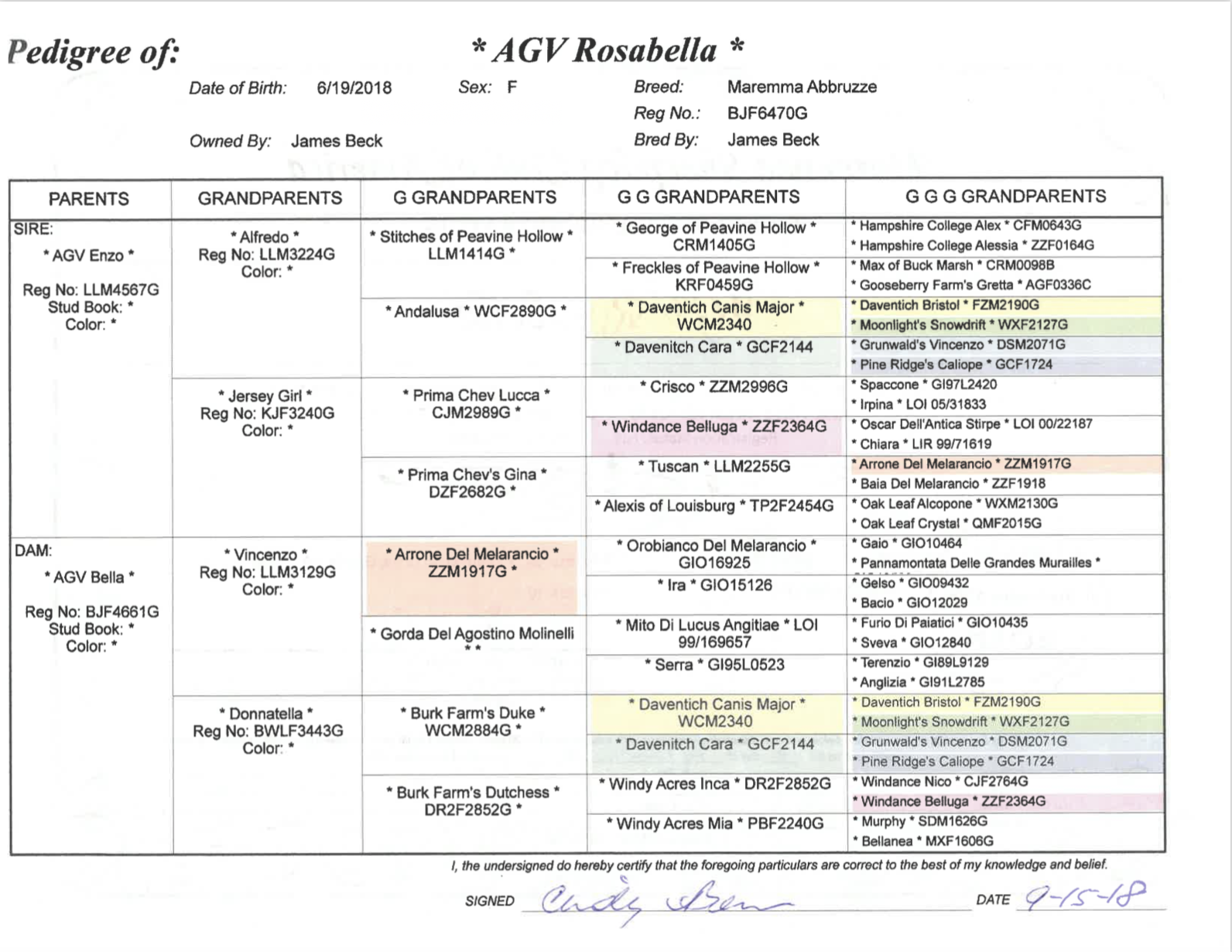 Screen Shot 2021-10-04 at 2.53.34 PM.png