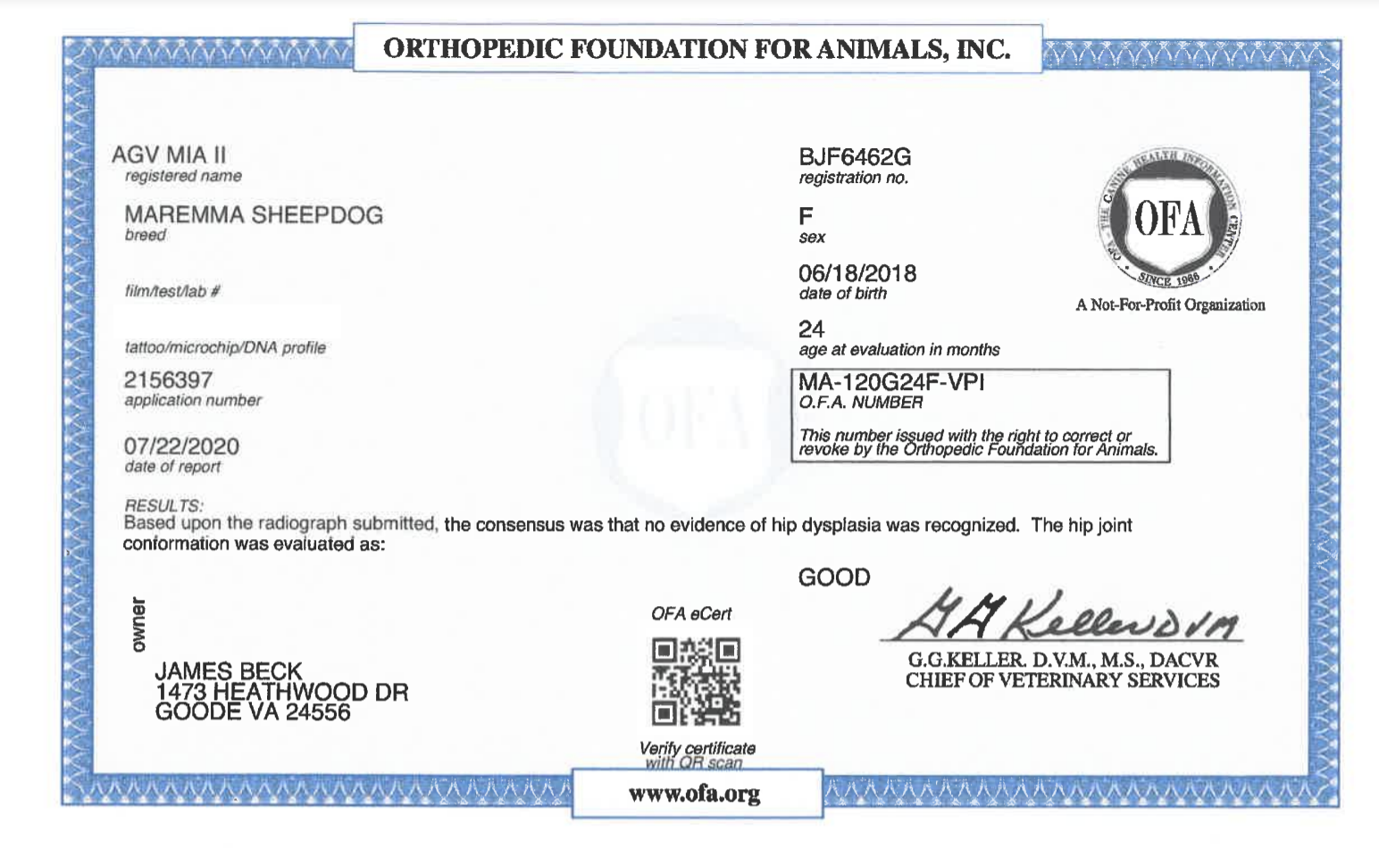 Screen Shot 2021-10-04 at 2.58.33 PM.png