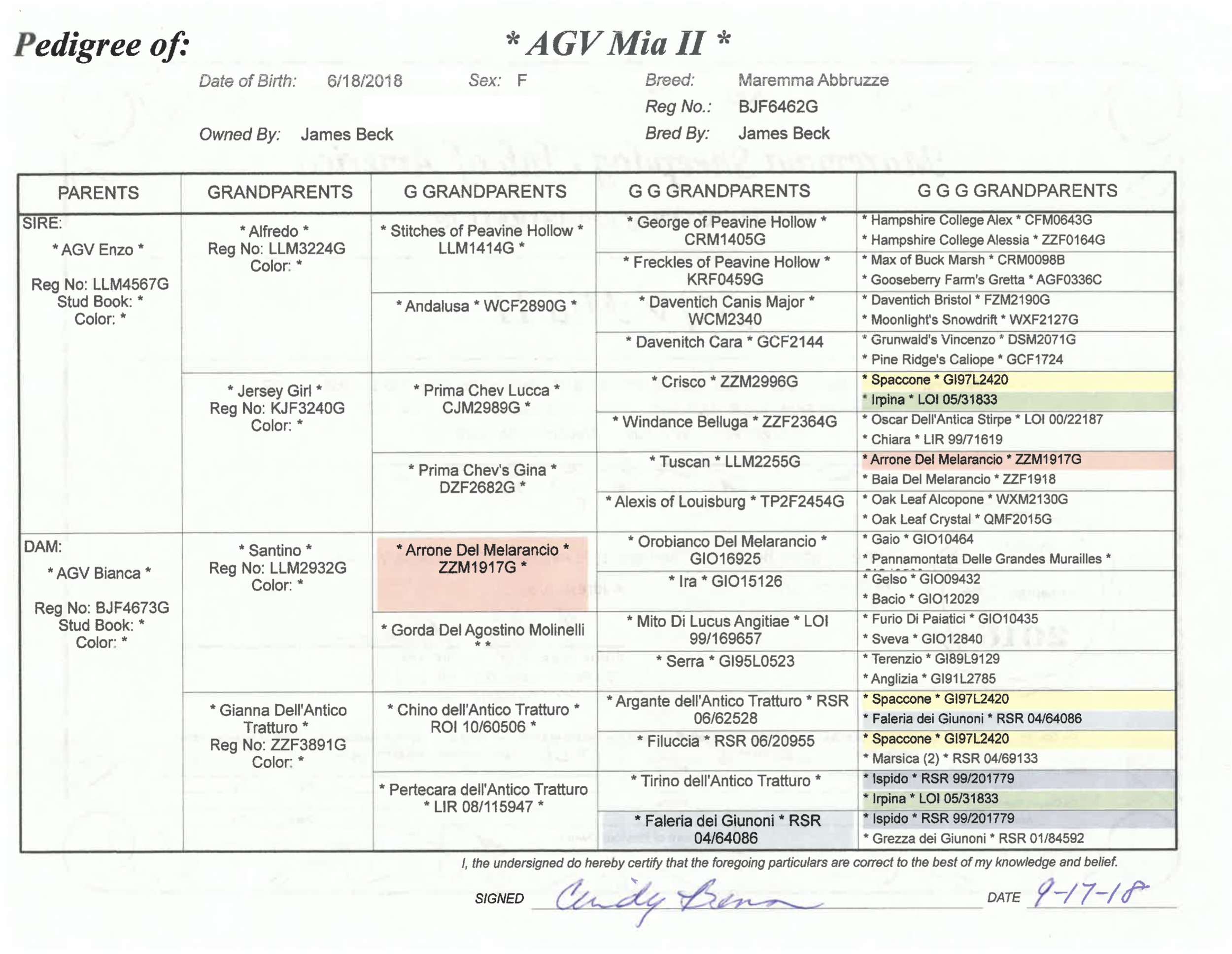 Screen Shot 2021-10-09 at 12.18.32 PM.png