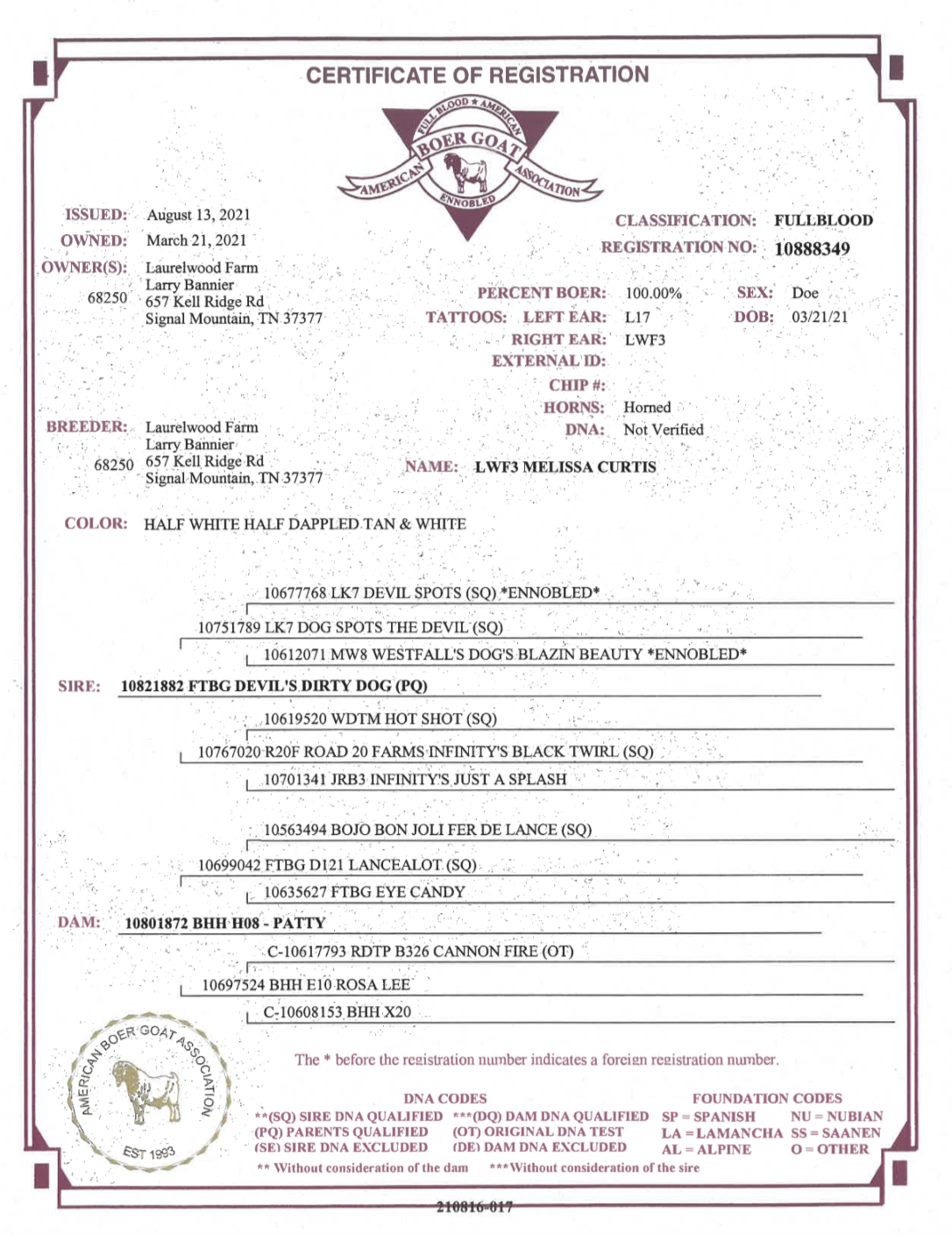 Screen Shot 2021-10-09 at 3.21.09 PM.png