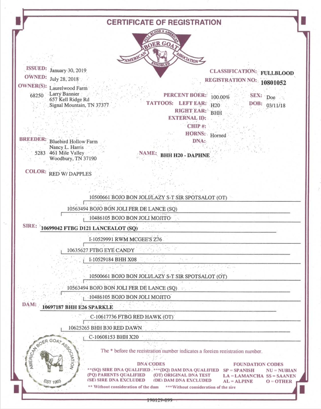 Screen Shot 2021-10-10 at 11.54.40 AM.png