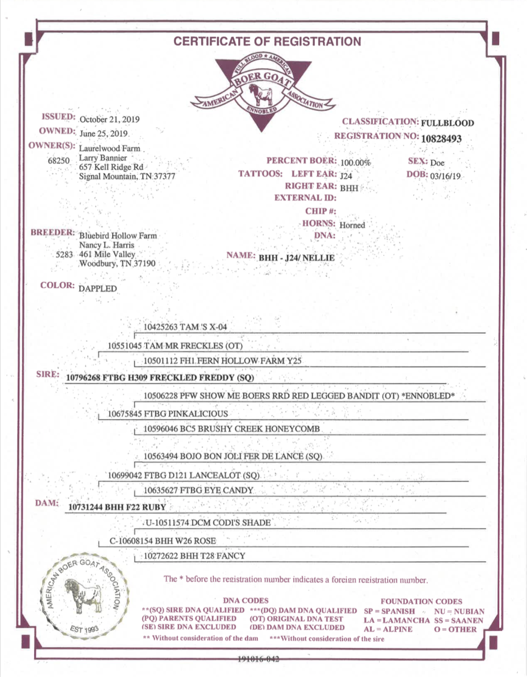 Screen Shot 2021-10-10 at 12.02.01 PM.png