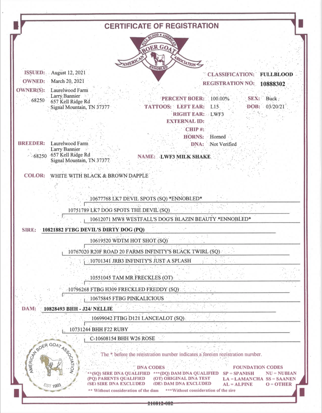 Screen Shot 2021-10-10 at 12.11.48 PM.png