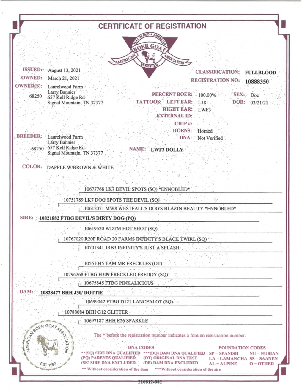 Screen Shot 2021-10-10 at 12.18.14 PM.png