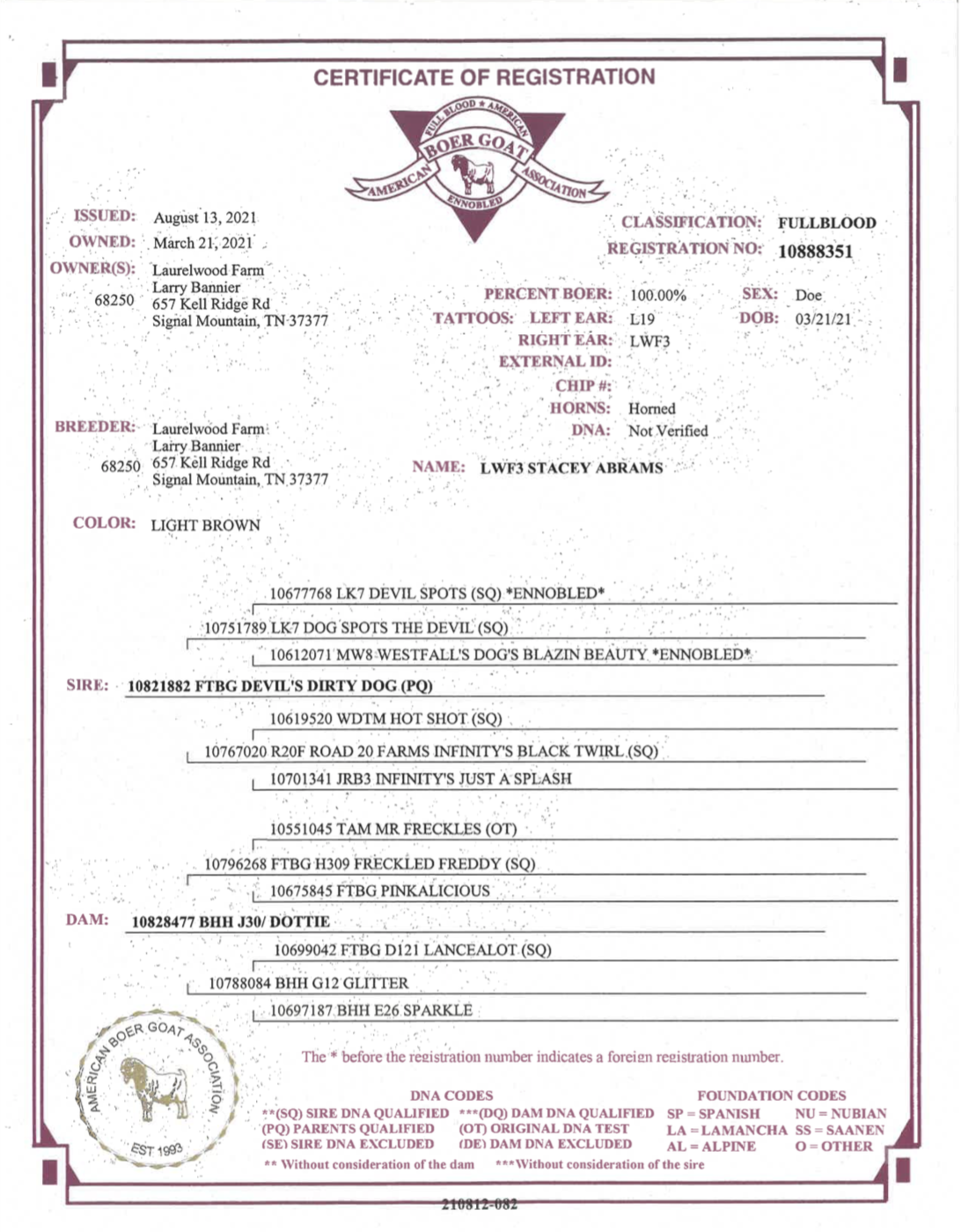 Screen Shot 2021-10-10 at 12.26.54 PM.png