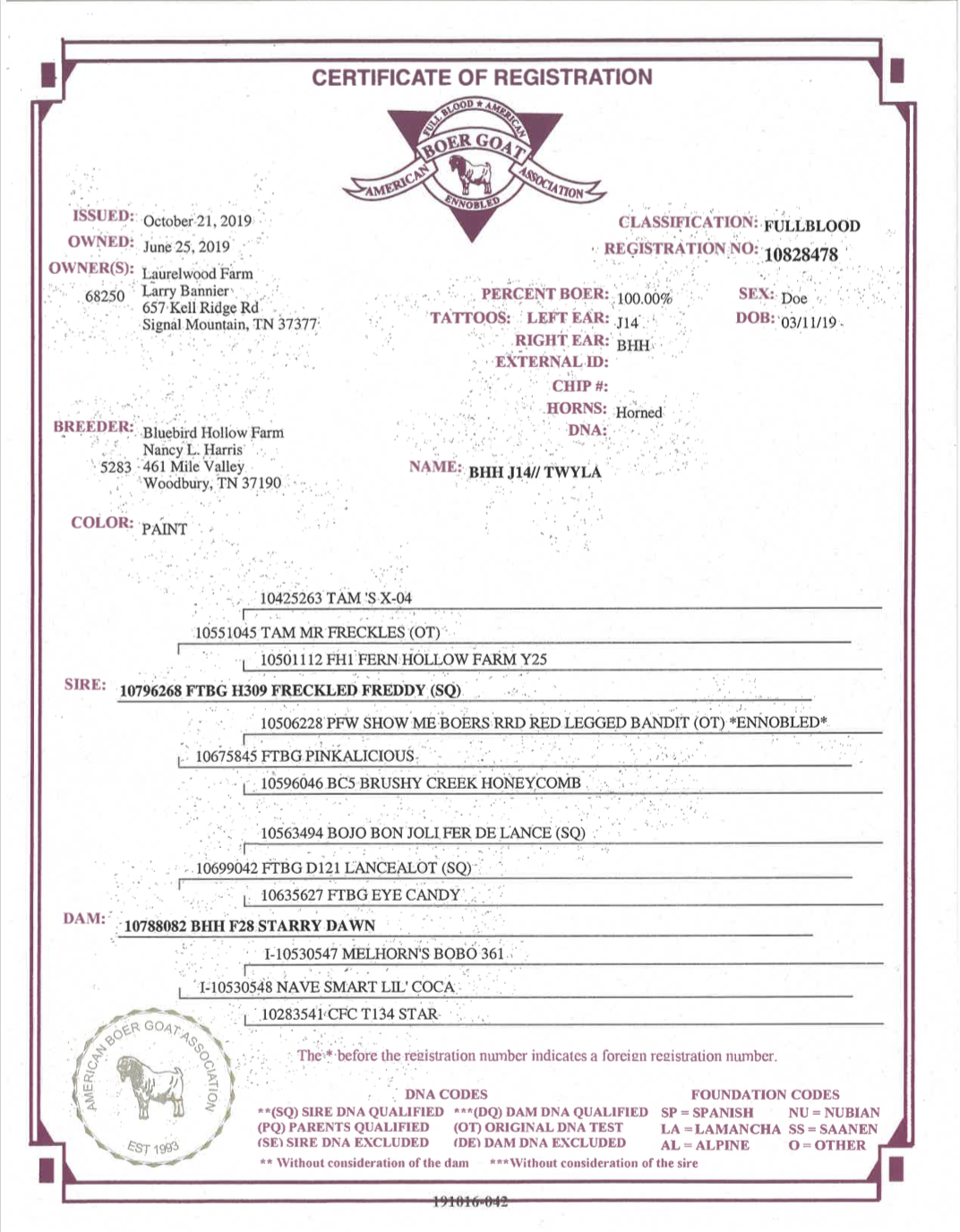 Screen Shot 2021-10-10 at 12.31.26 PM.png