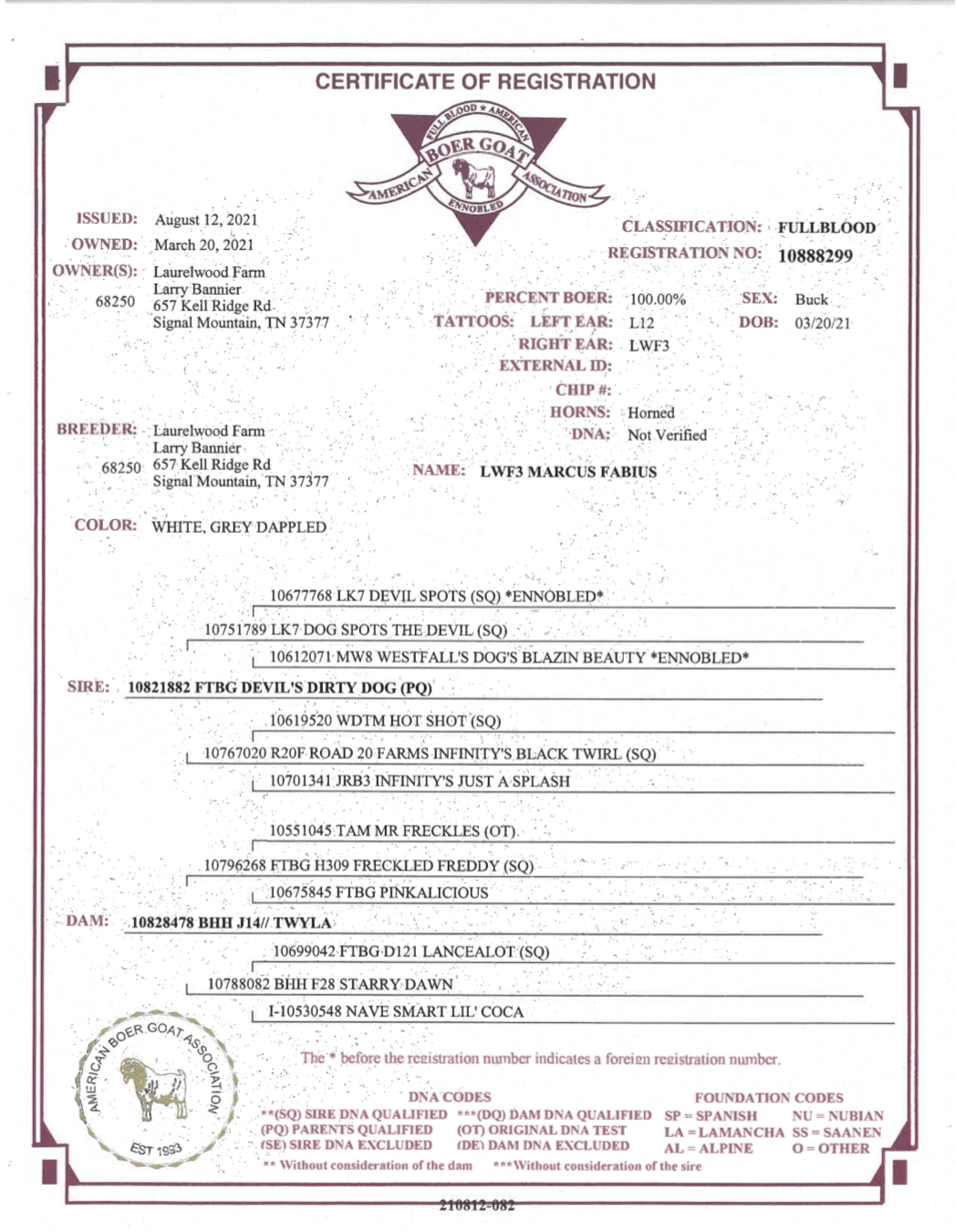 Screen Shot 2021-10-10 at 12.36.41 PM.png