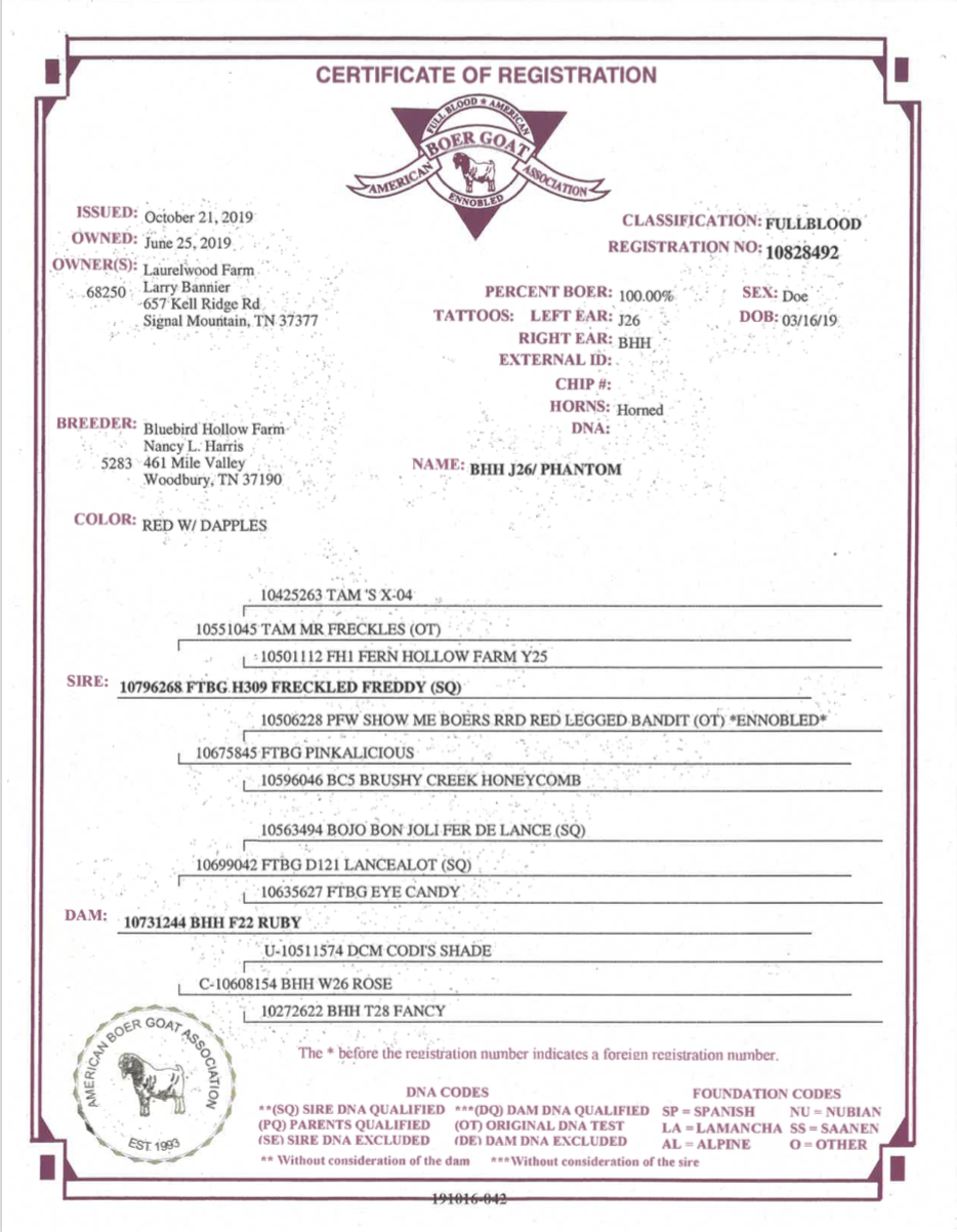 BHH J26: Phantom.png