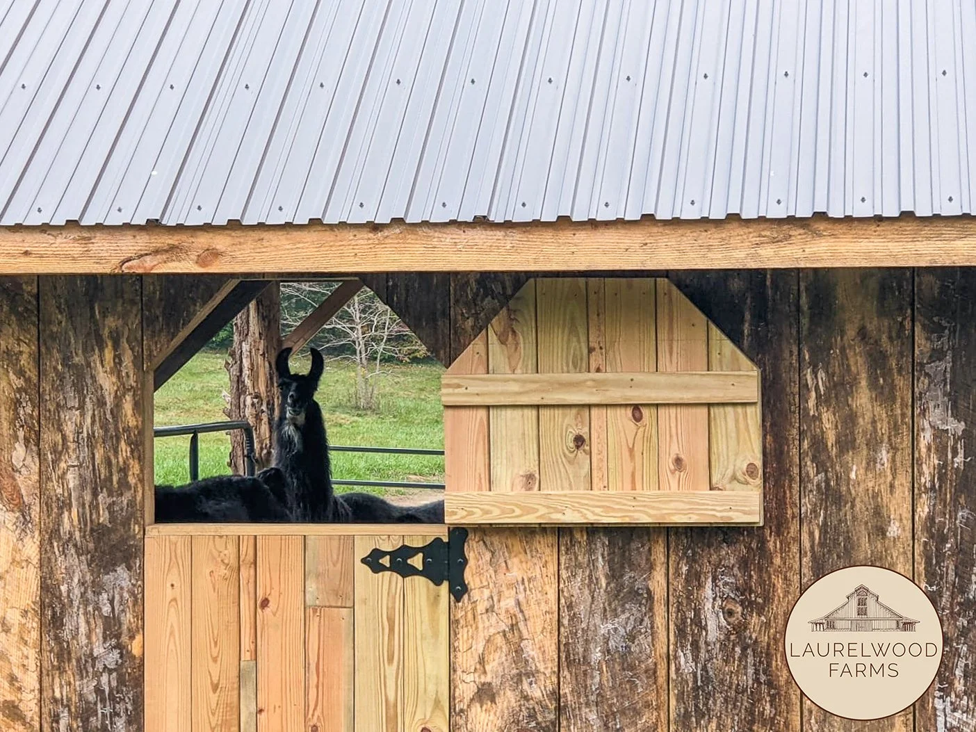 244214130_10223206406722445_5298487120189958808_n copy.jpg