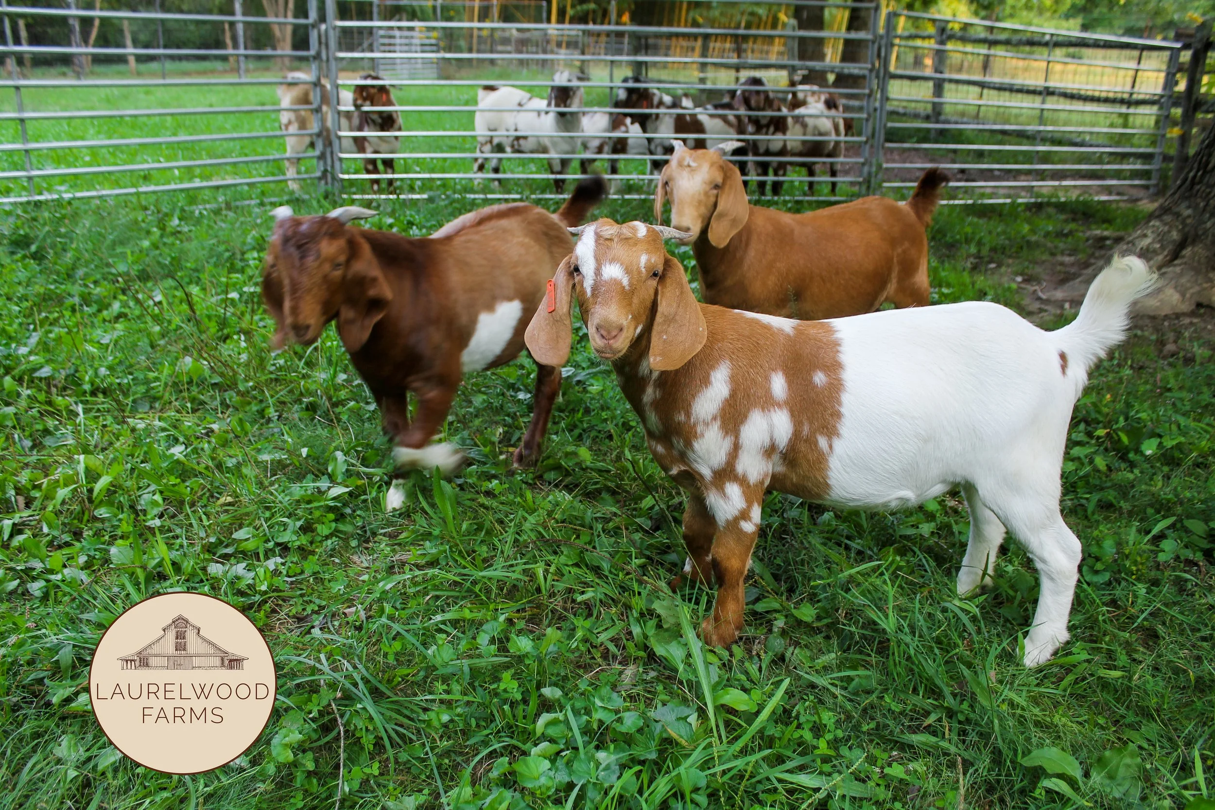 Frank, Curtis, Stacey copy.jpg