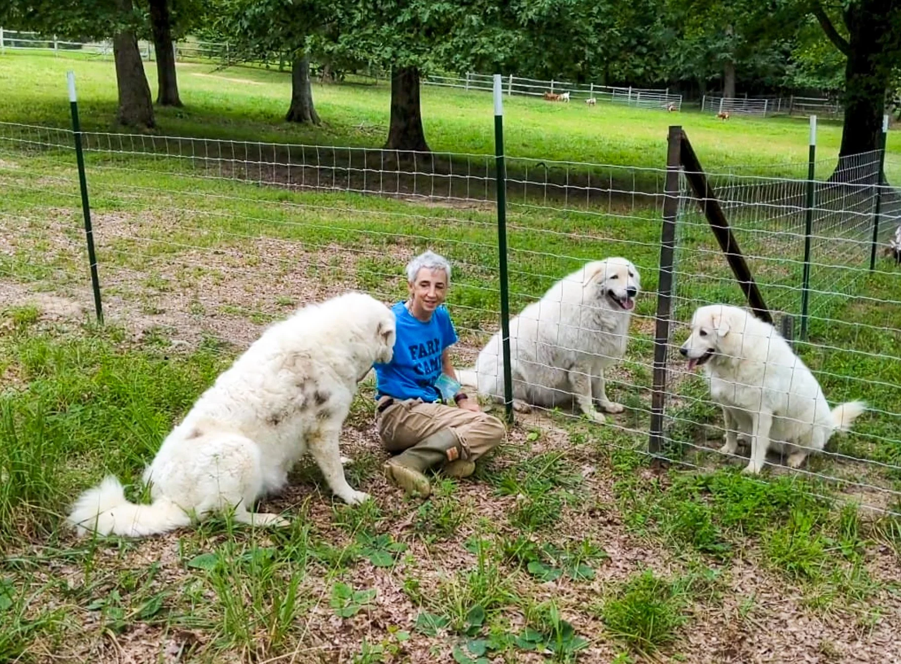 Luigi, Rosie & Mia.jpg
