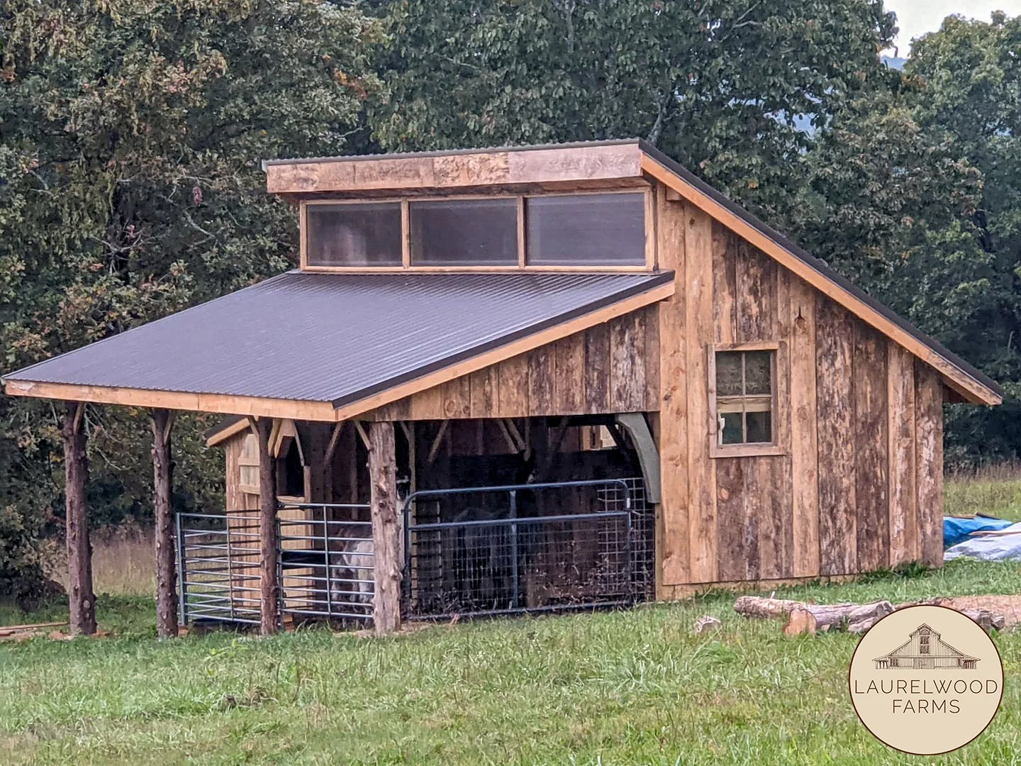 244206067_10223206410762546_5618494646757539957_n copy.jpg