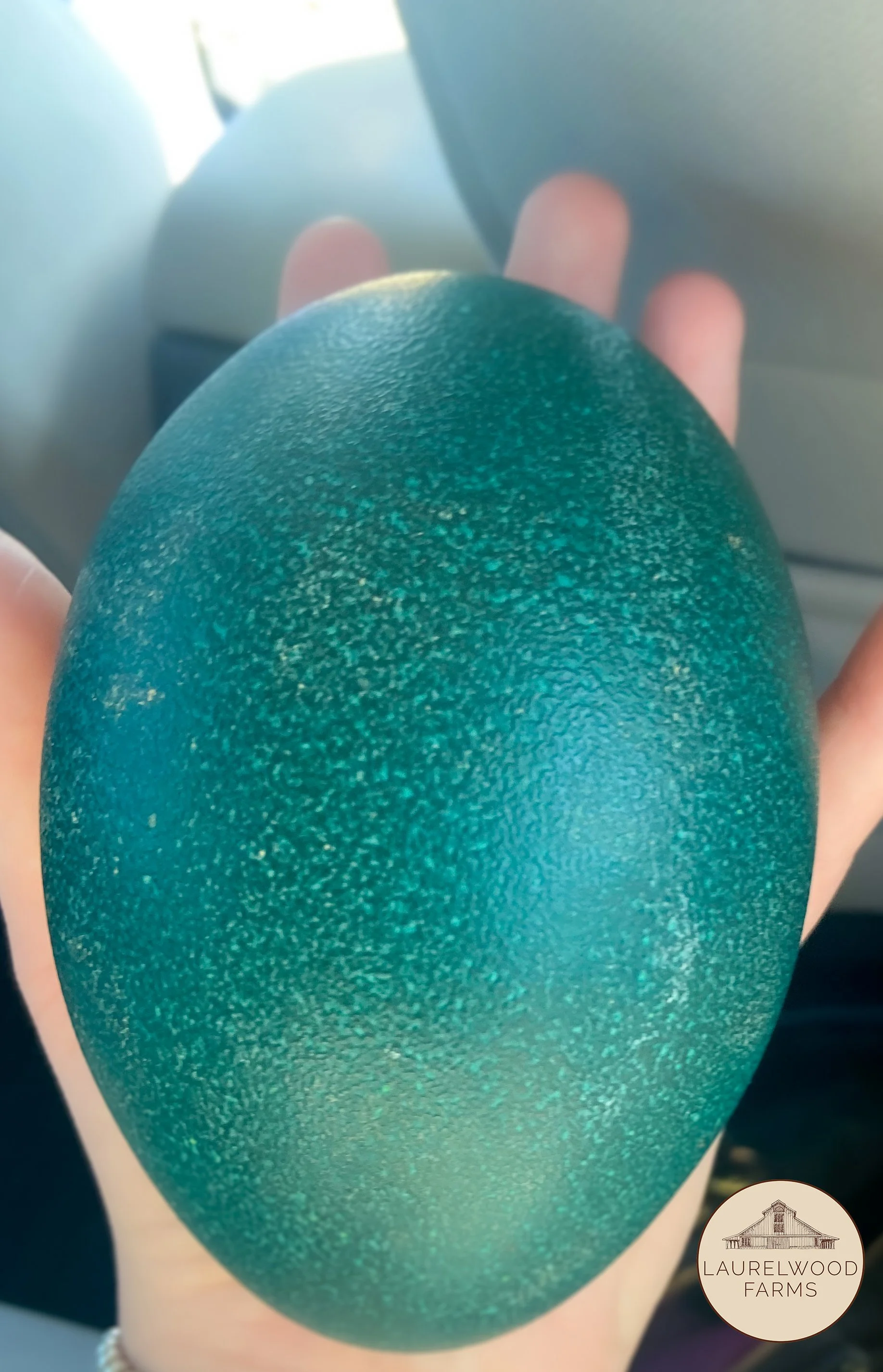 63986727777__54F6B13B-B274-462F-86D8-CE25A238E8D7 copy.jpg