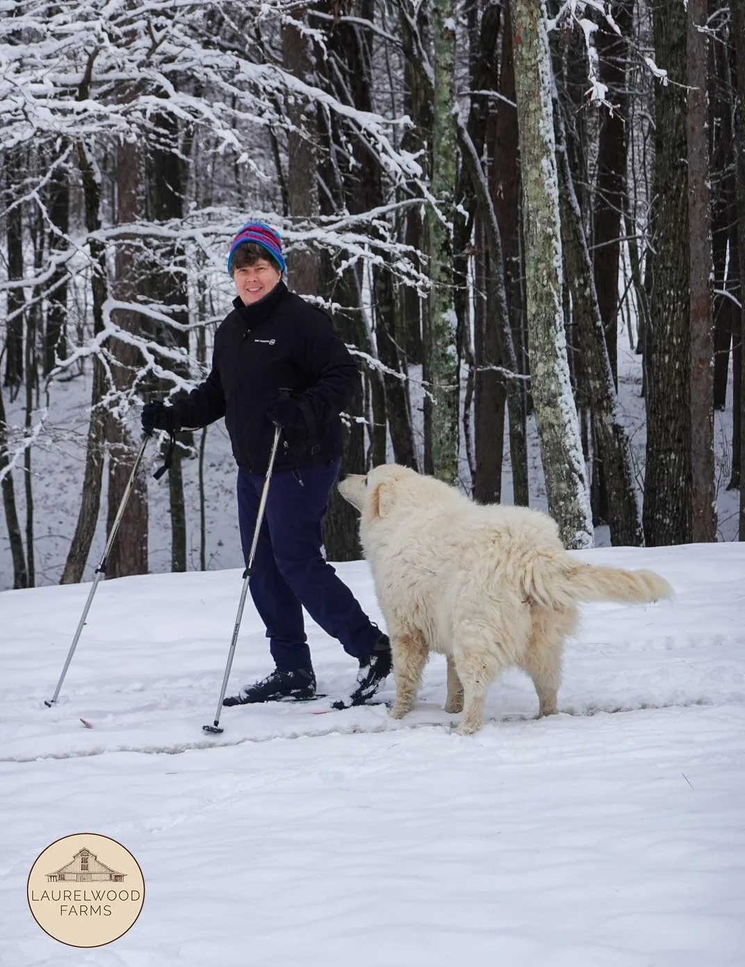 272024212_10223771858938397_4767182841669486109_n copy.jpg