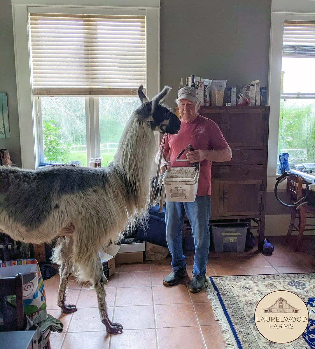 244185765_10223205397857224_7250064483203178884_n copy.jpg