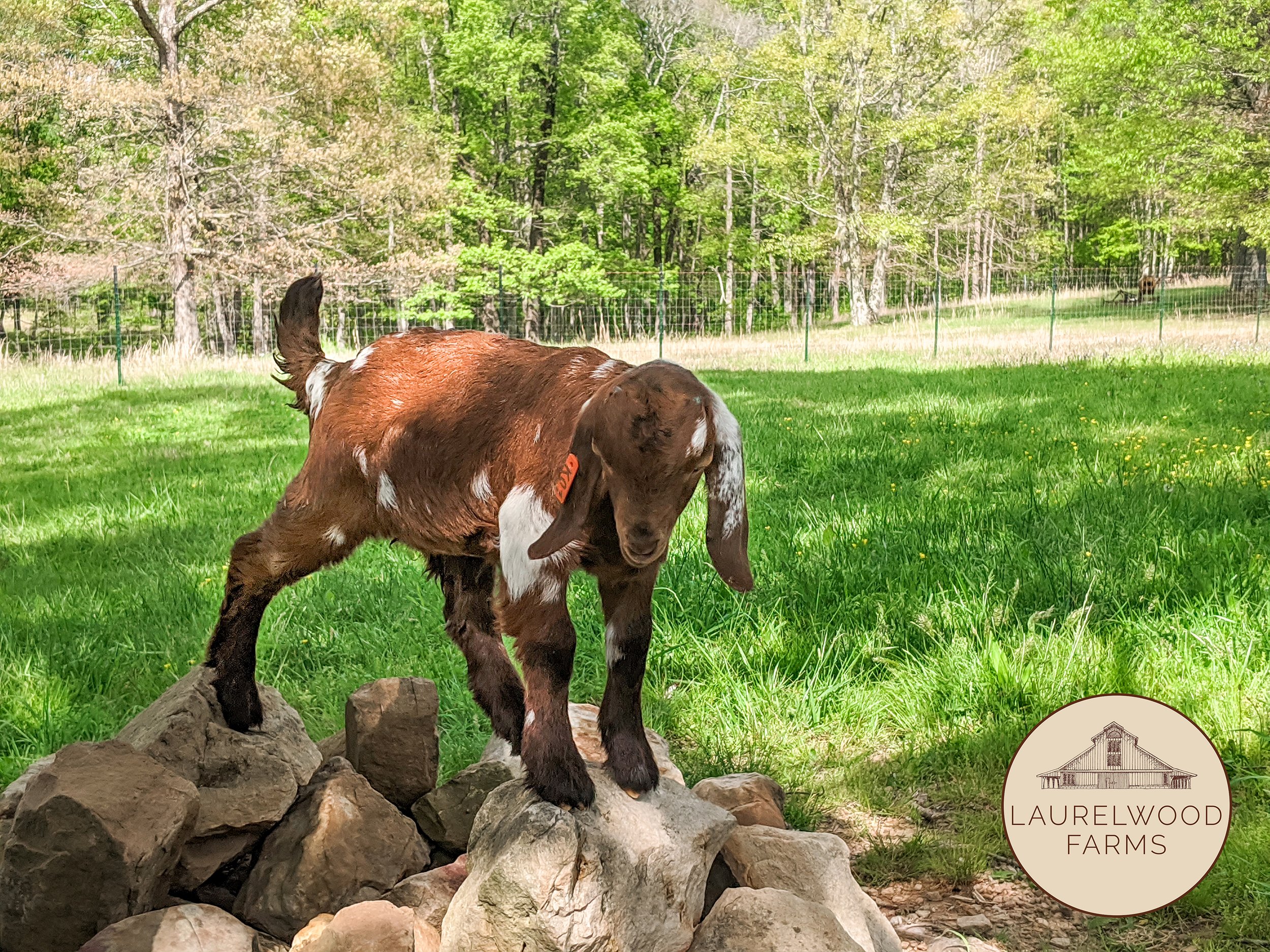 IMG_20200503_163123 copy.jpg