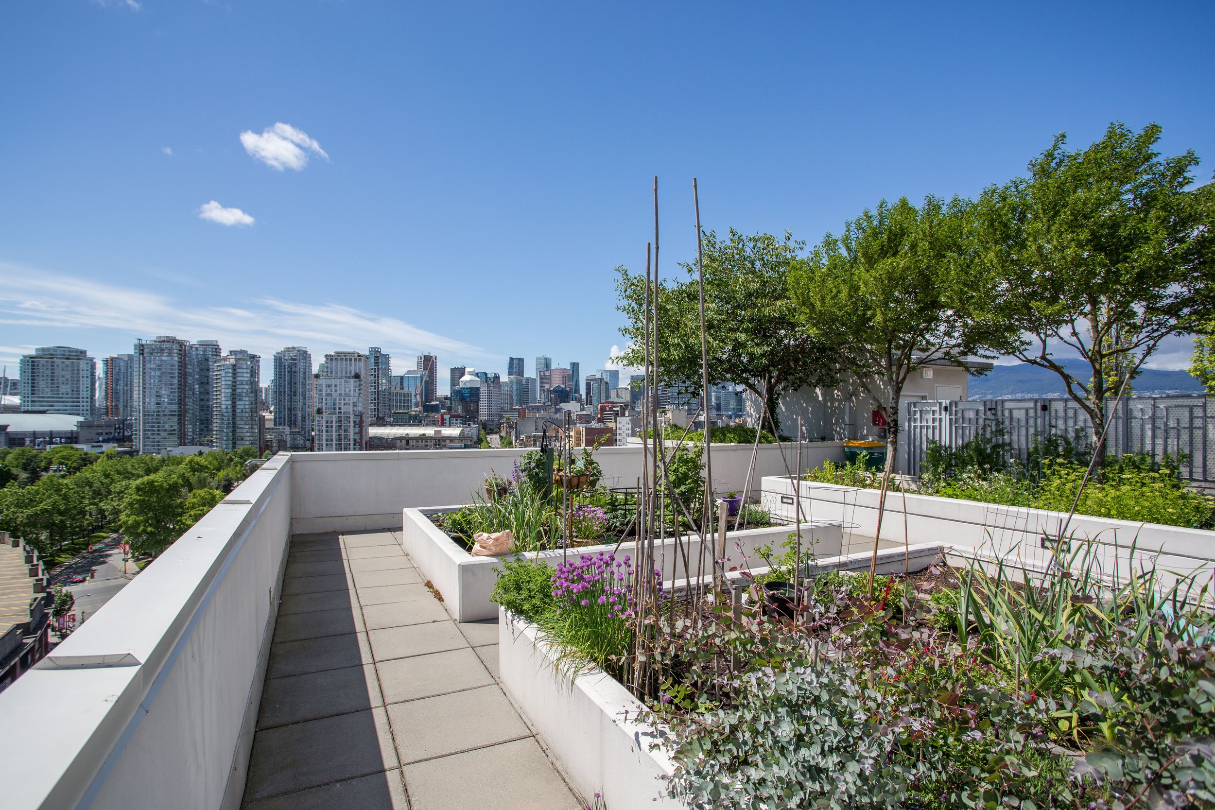 208 189 Keefer St VANCOUVER-HIGH-131.JPG