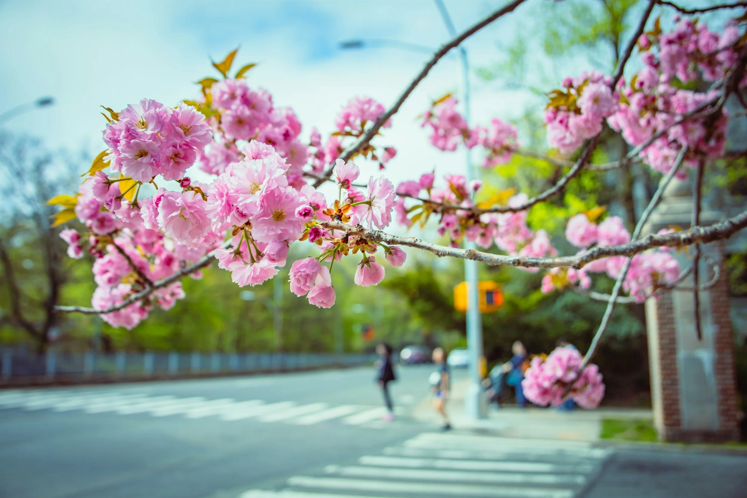 Why May Is the Perfect Time to List Your Home in the DMV and Surrounding Areas